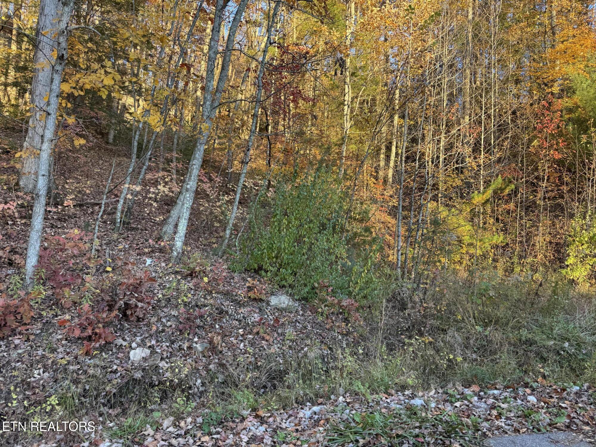 Big Ridge Road Oneida TN 37841