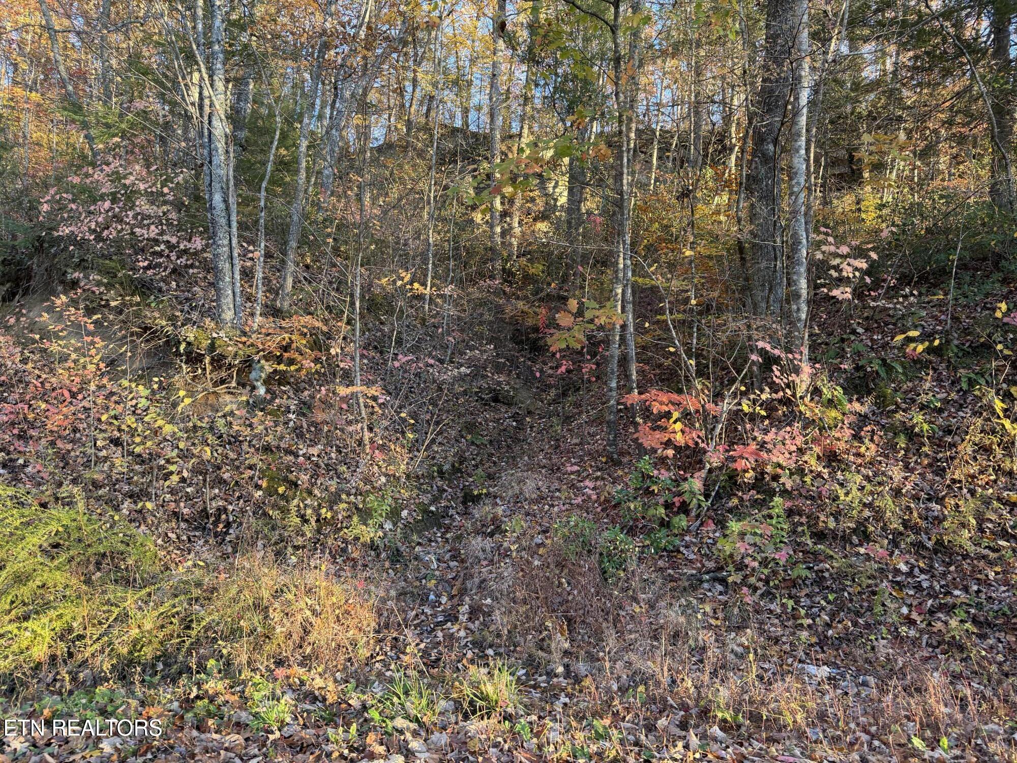 Big Ridge Road Oneida TN 37841