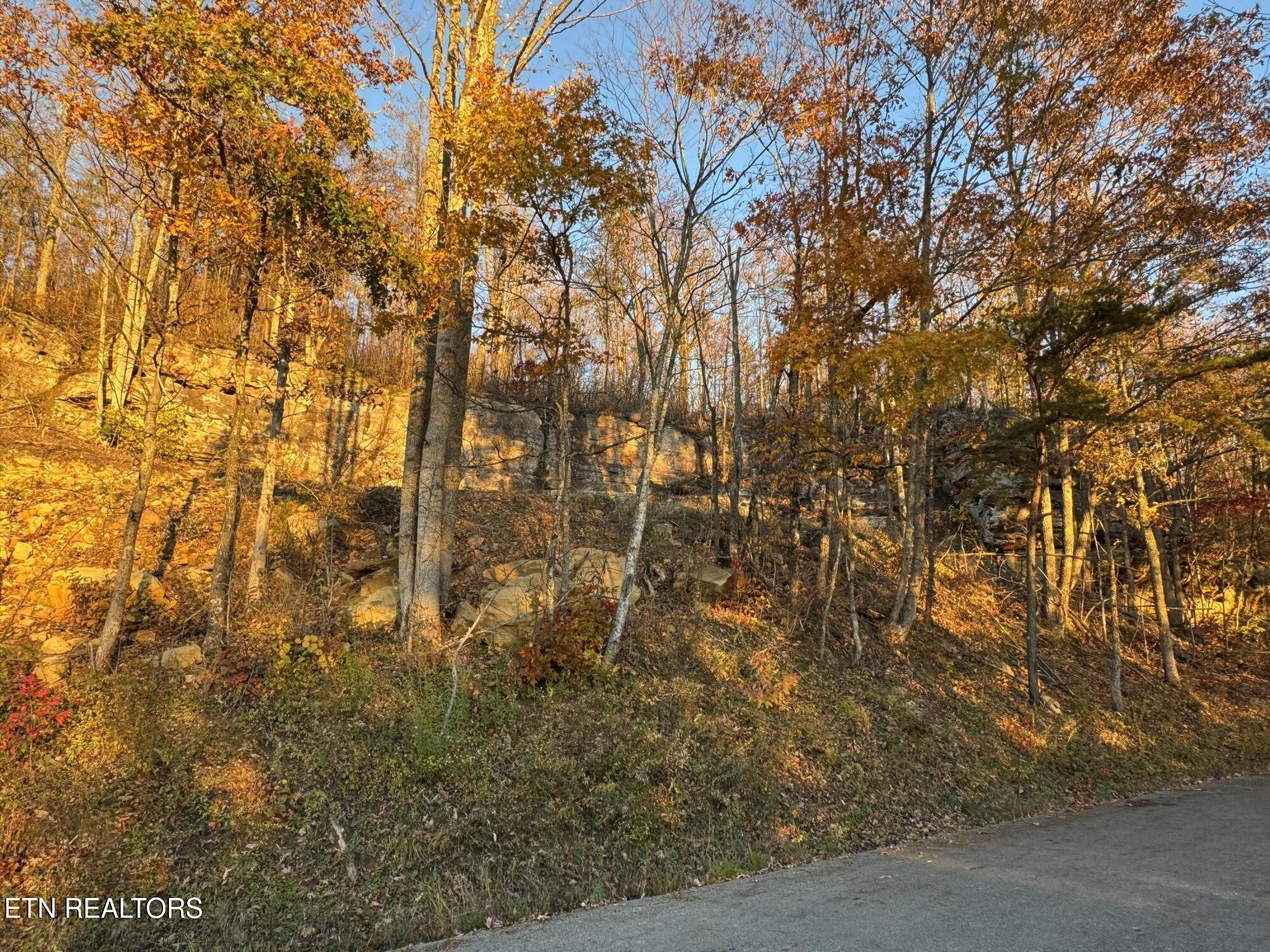 Big Ridge Road Oneida TN 37841