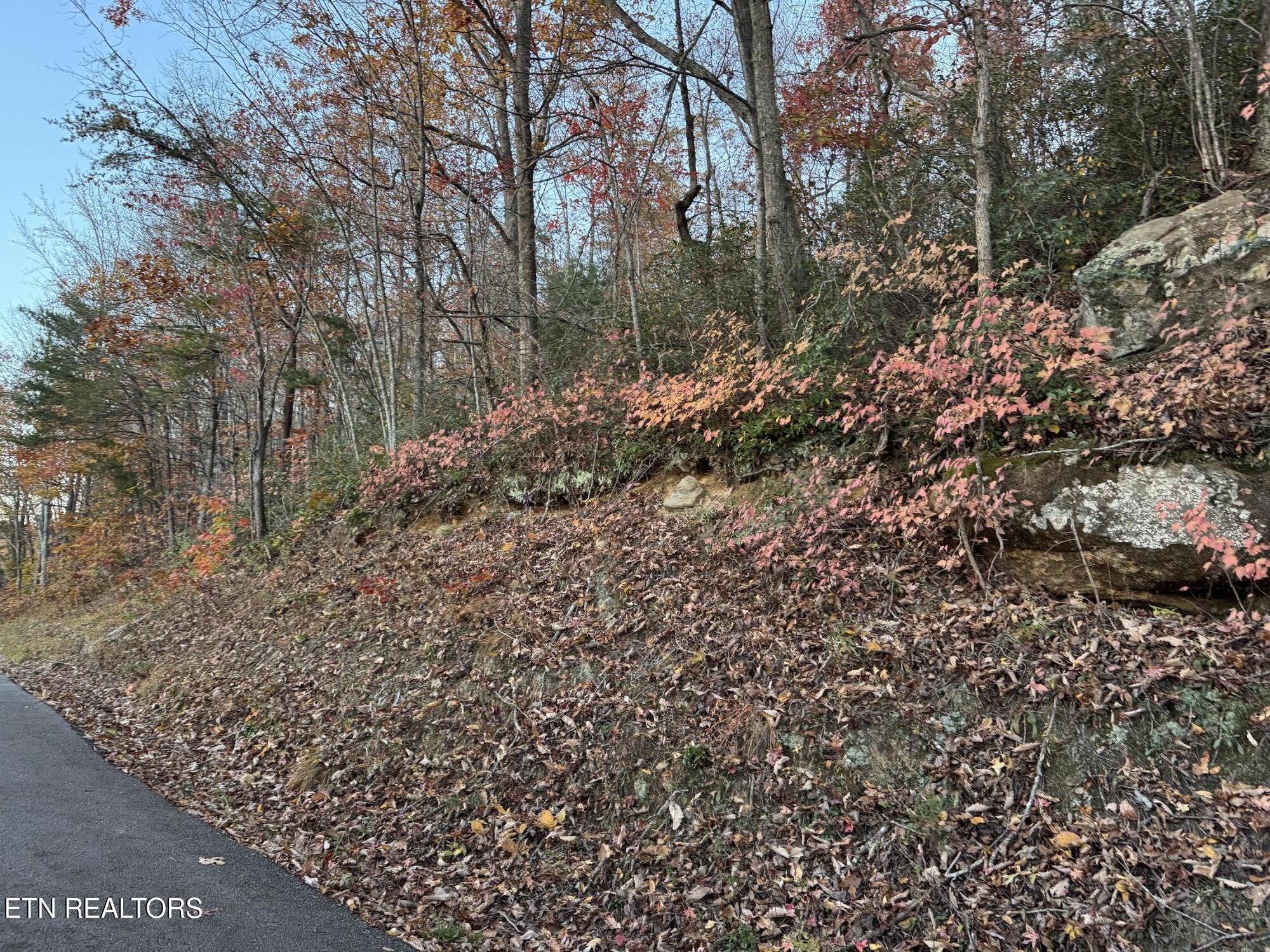 Big Ridge Road Oneida TN 37841