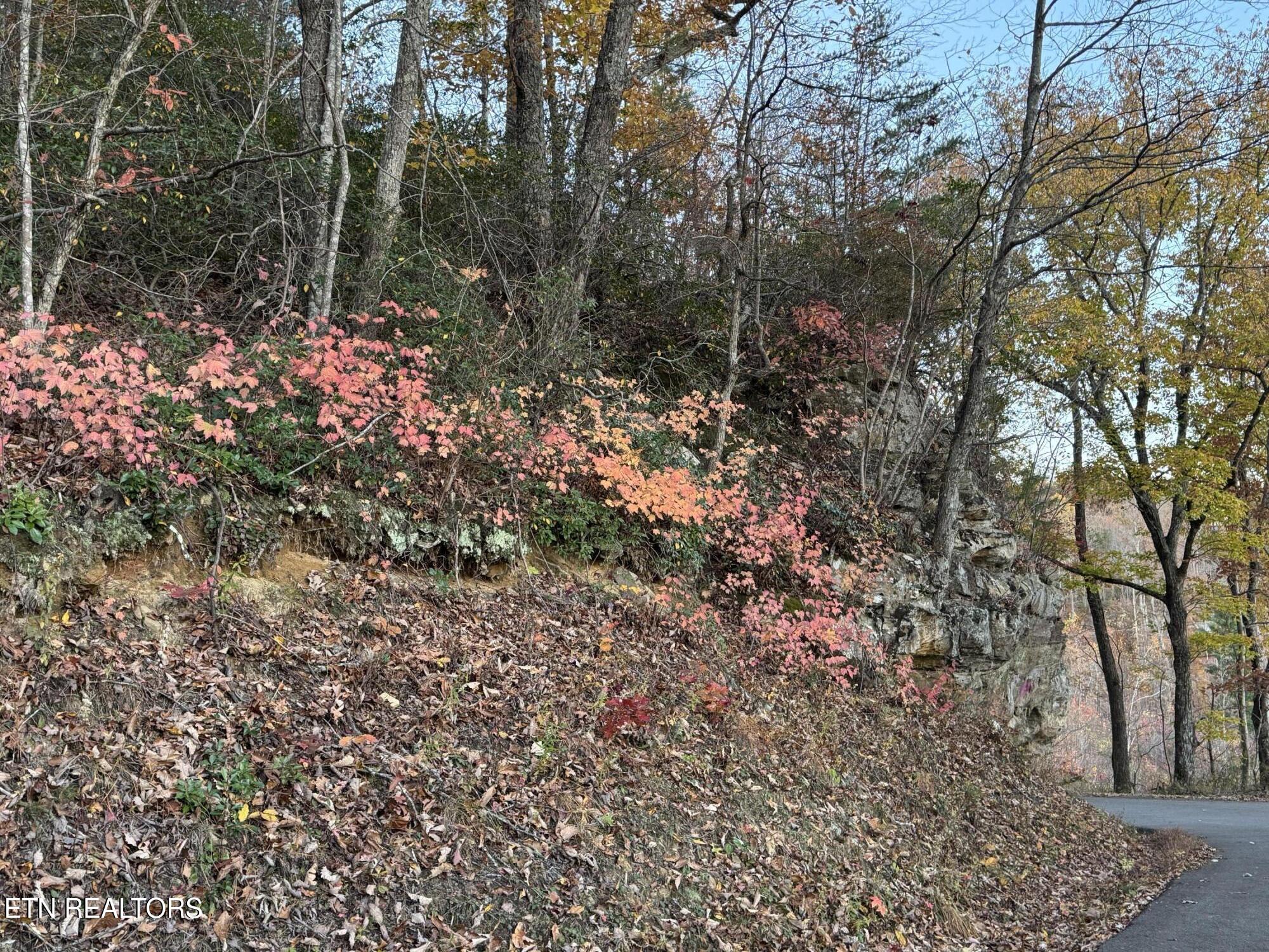 Big Ridge Road Oneida TN 37841