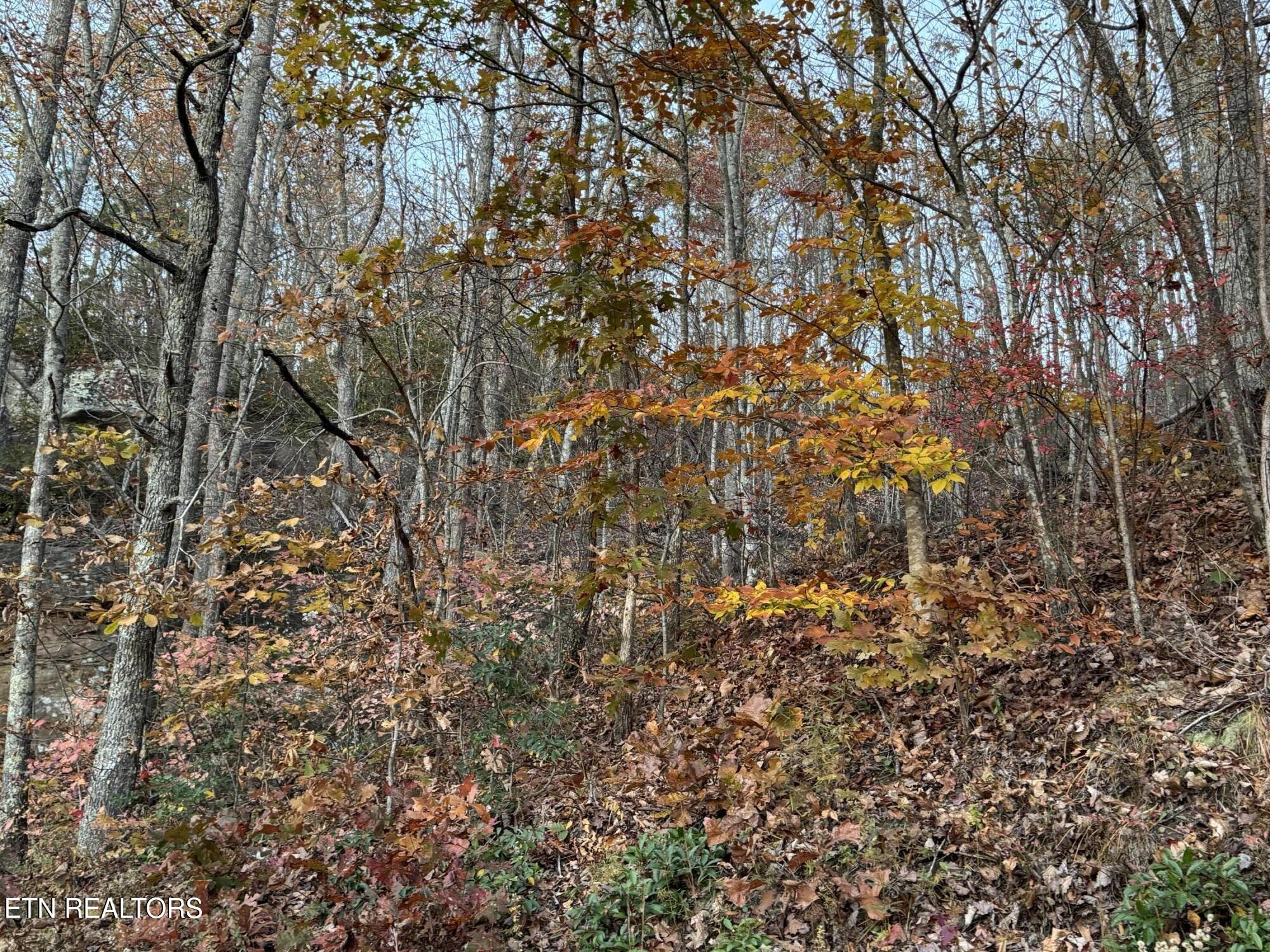 Big Ridge Road Oneida TN 37841