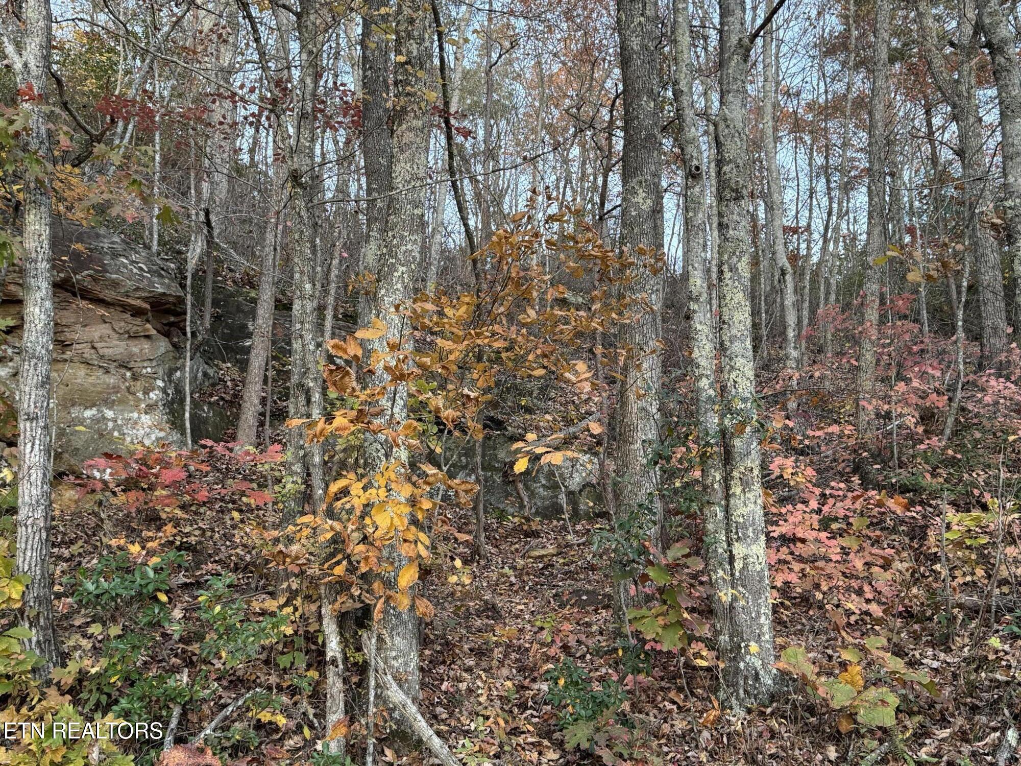 Big Ridge Road Oneida TN 37841