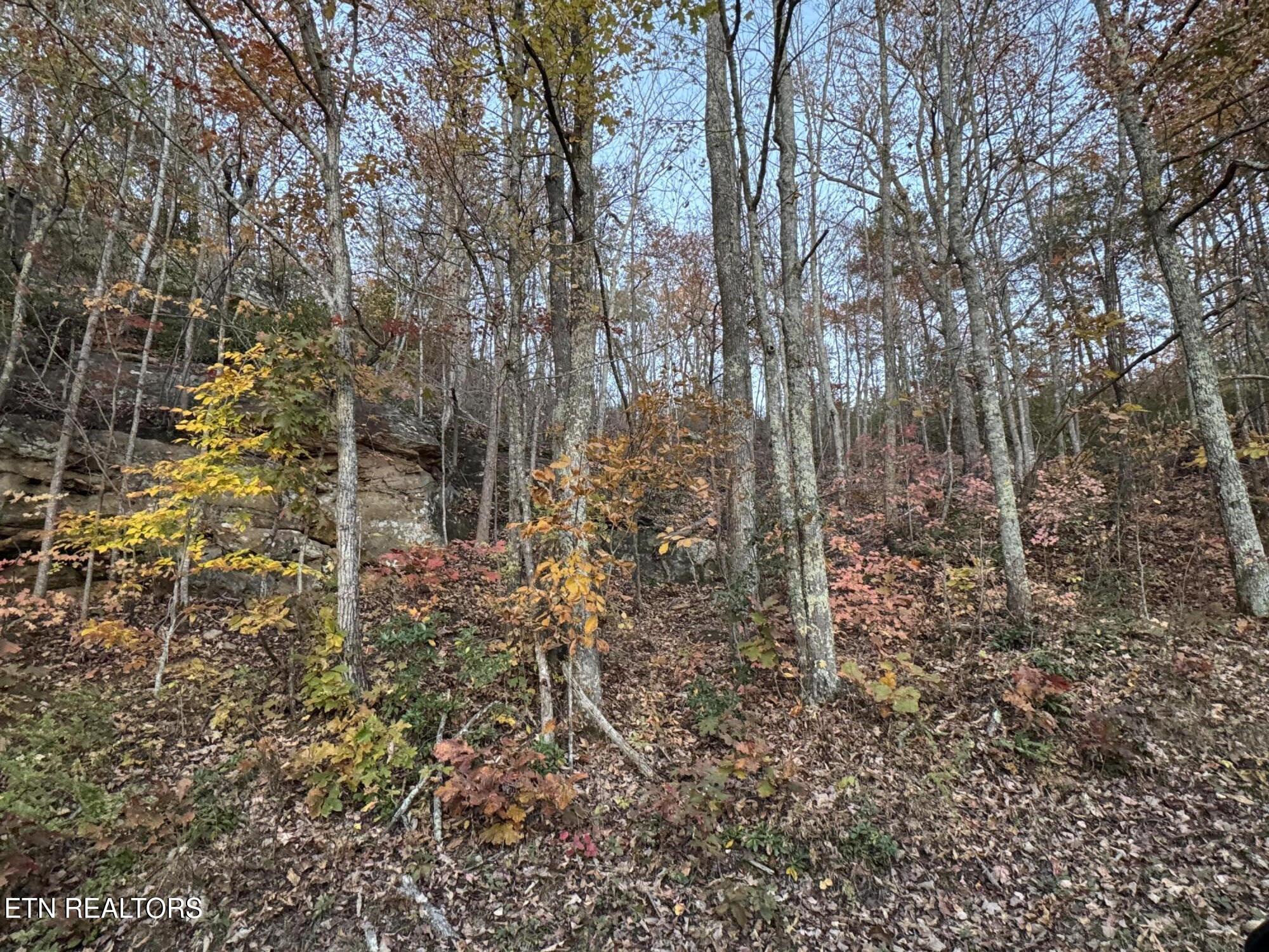 Big Ridge Road Oneida TN 37841