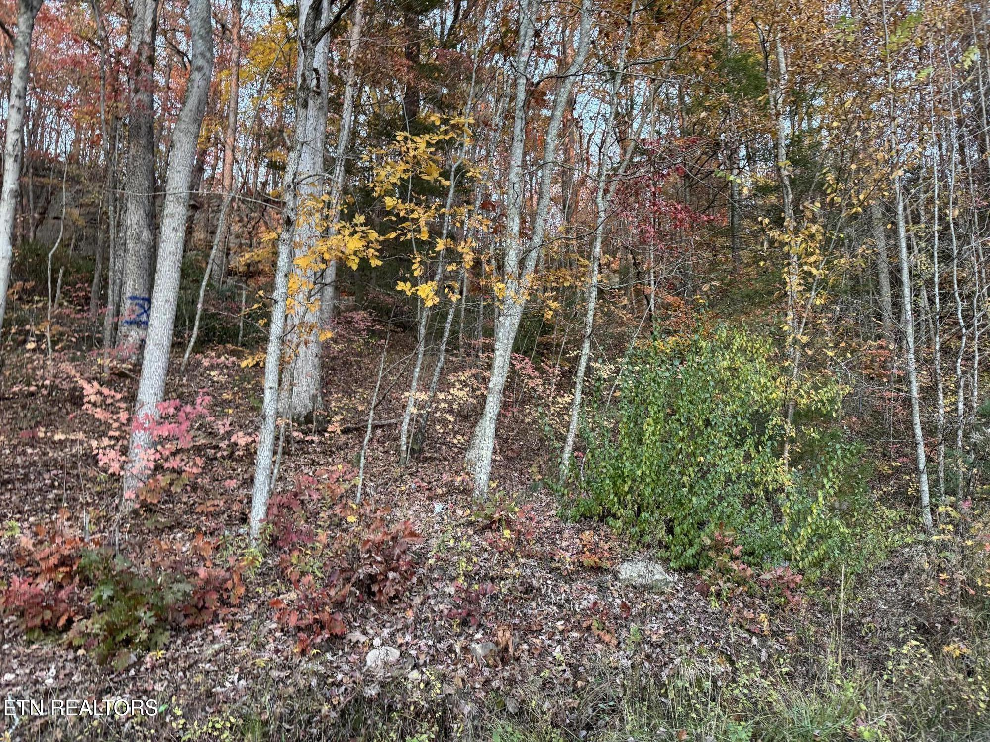 Big Ridge Road Oneida TN 37841