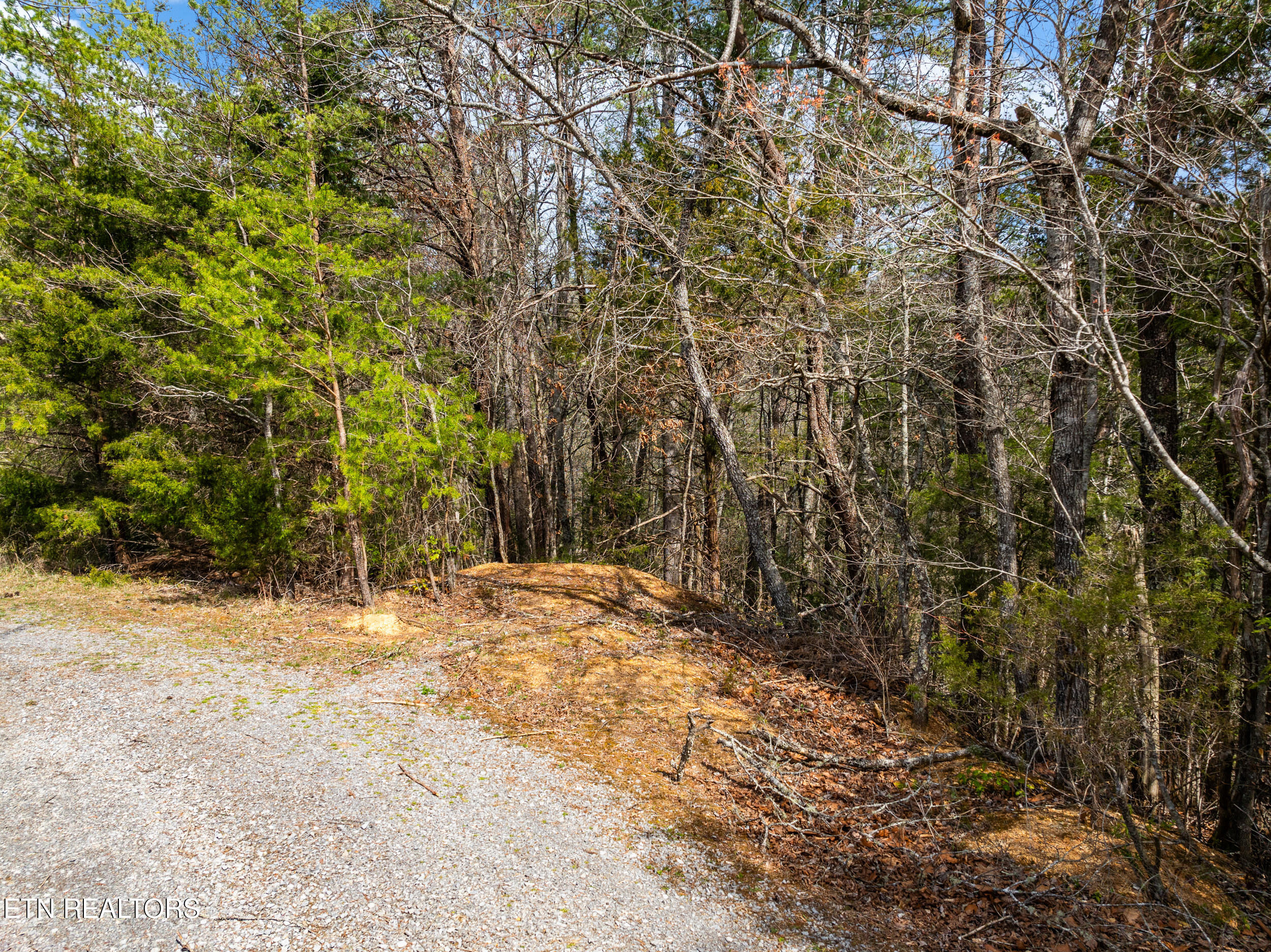Mossy Cove Way Sevierville TN 37876