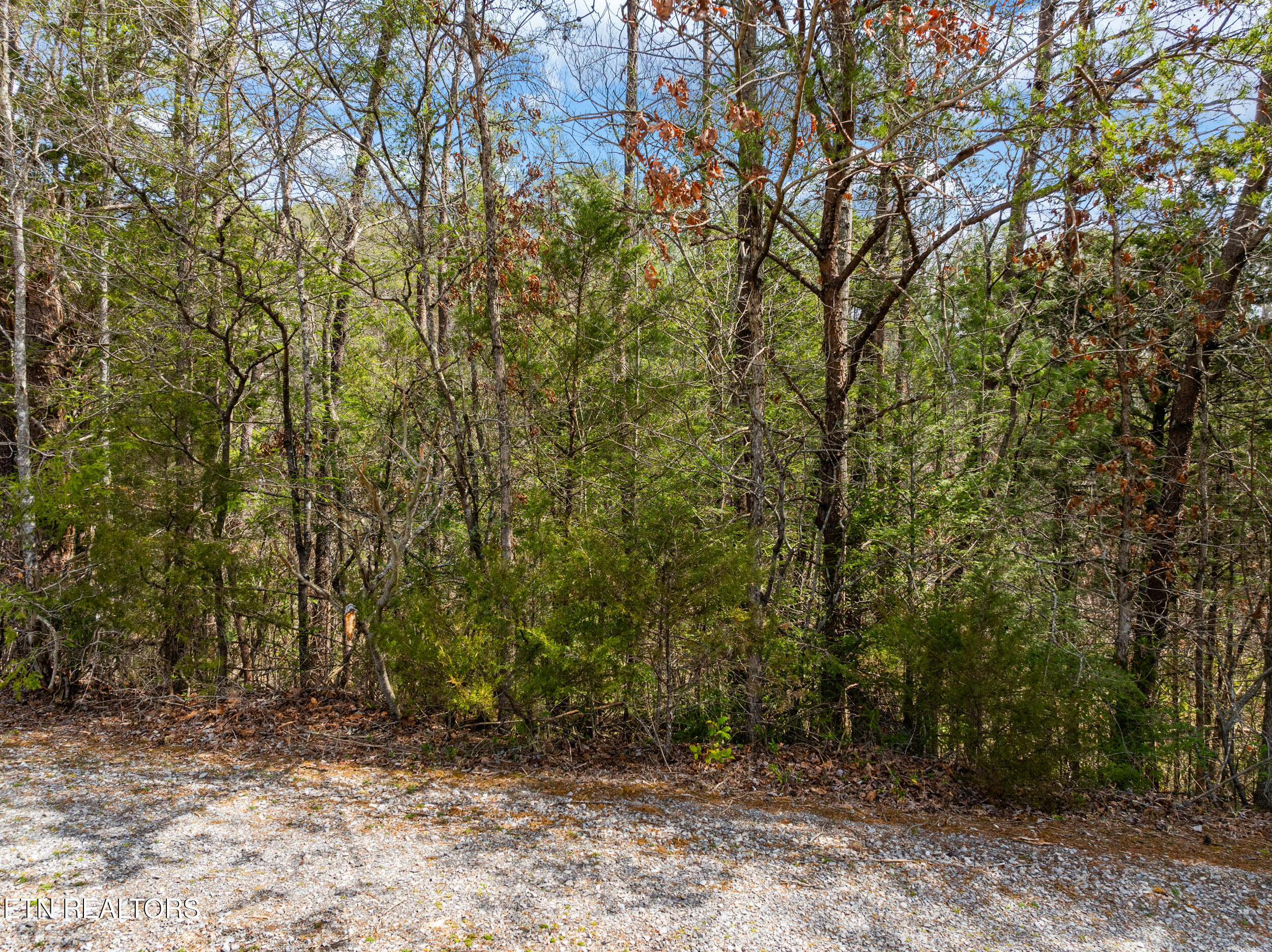 Mossy Cove Way Sevierville TN 37876