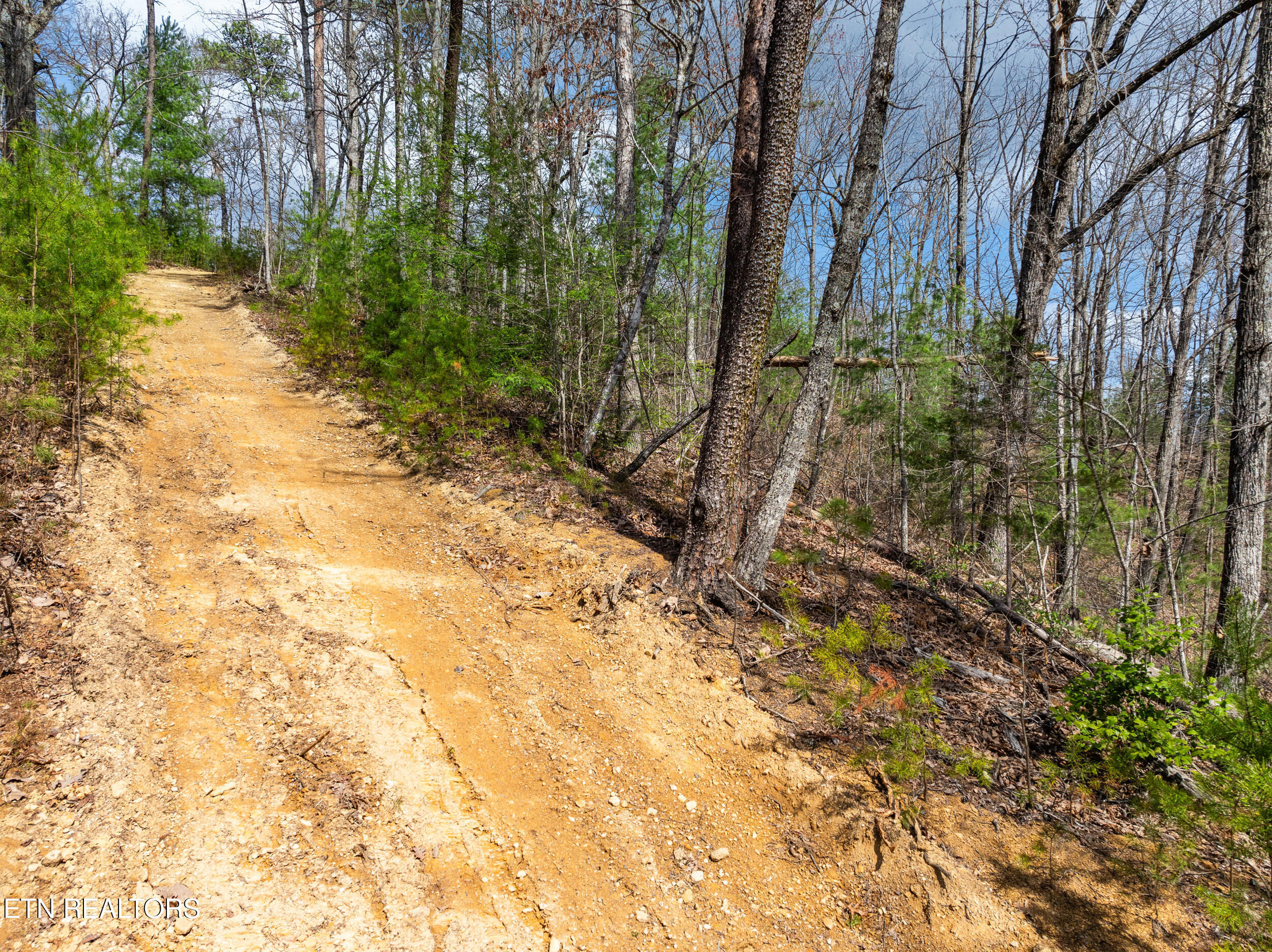 Mossy Cove Way Sevierville TN 37876