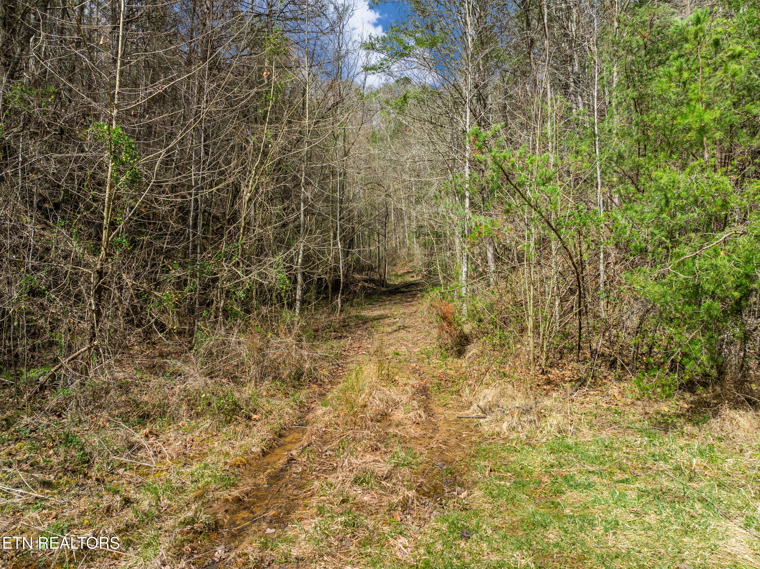 Mossy Cove Way Sevierville TN 37876