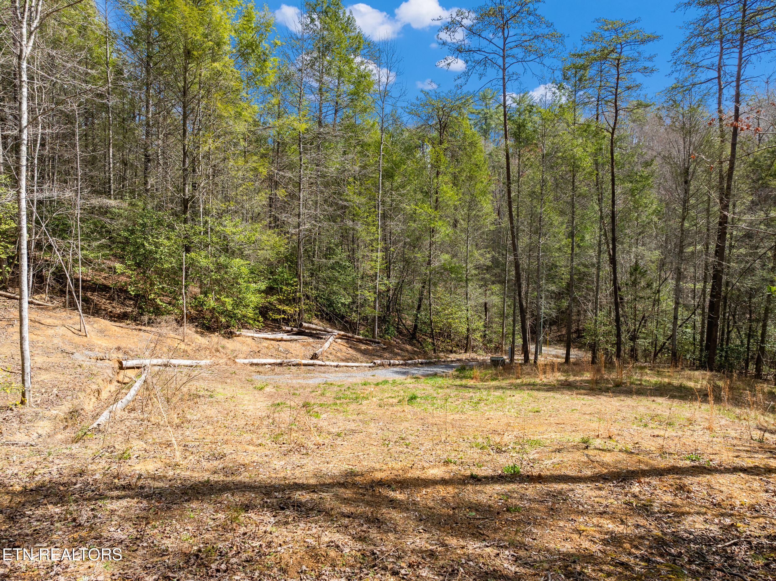 Mossy Cove Way Sevierville TN 37876