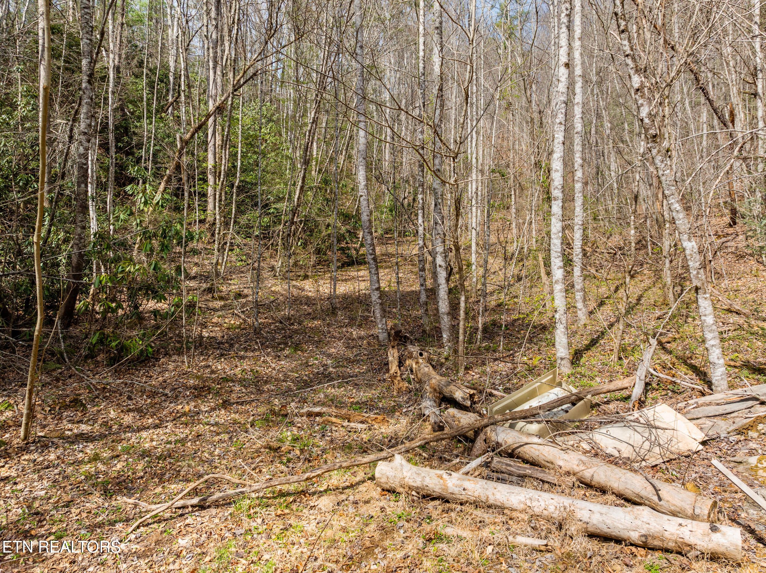 Mossy Cove Way Sevierville TN 37876