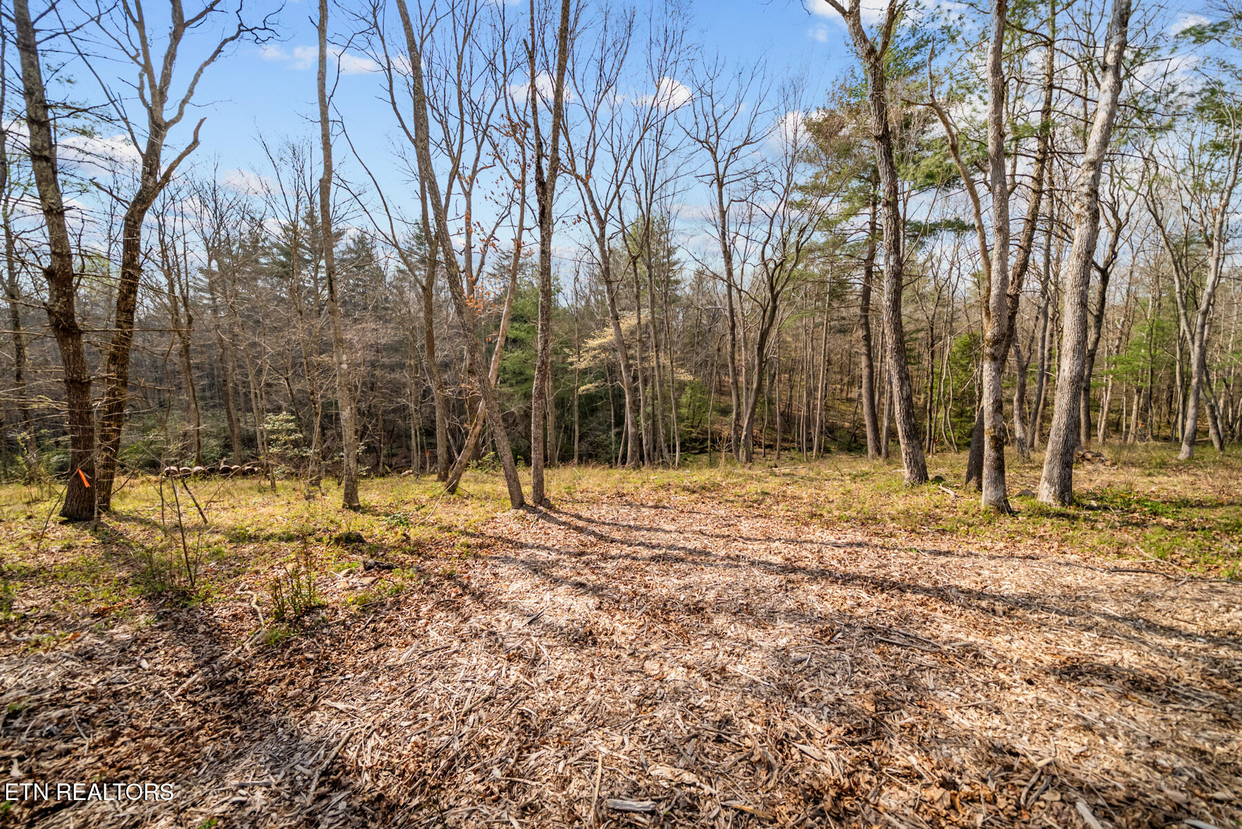 Marie Lane Crossville TN 38555