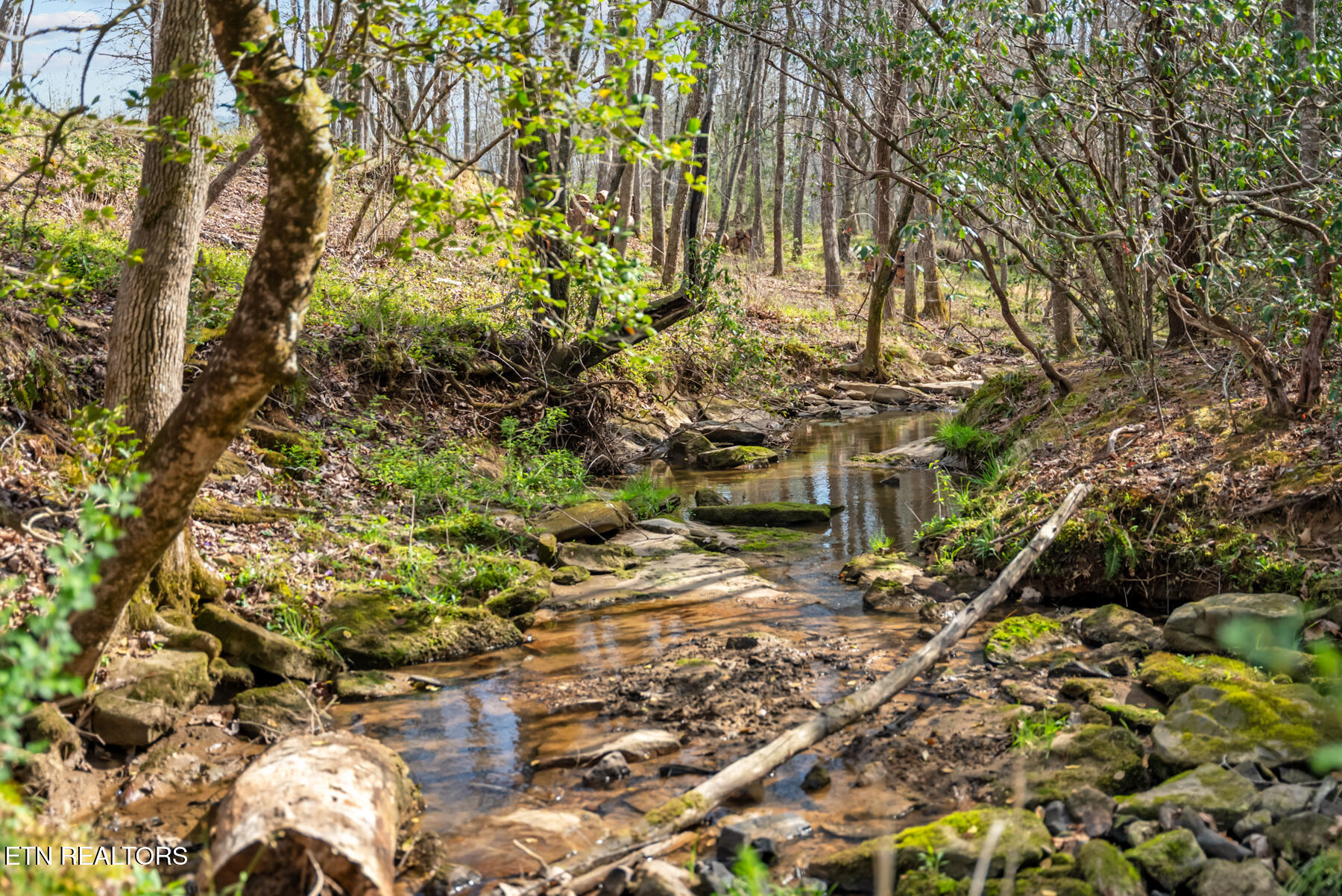 Marie Lane Crossville TN 38555
