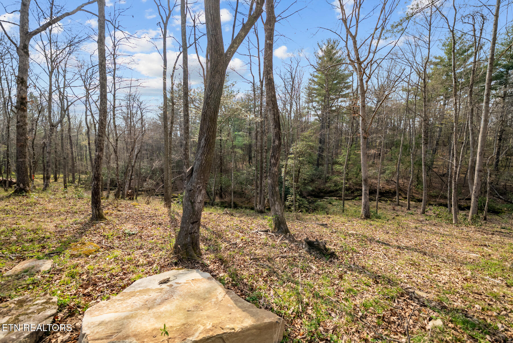 Marie Lane Crossville TN 38555