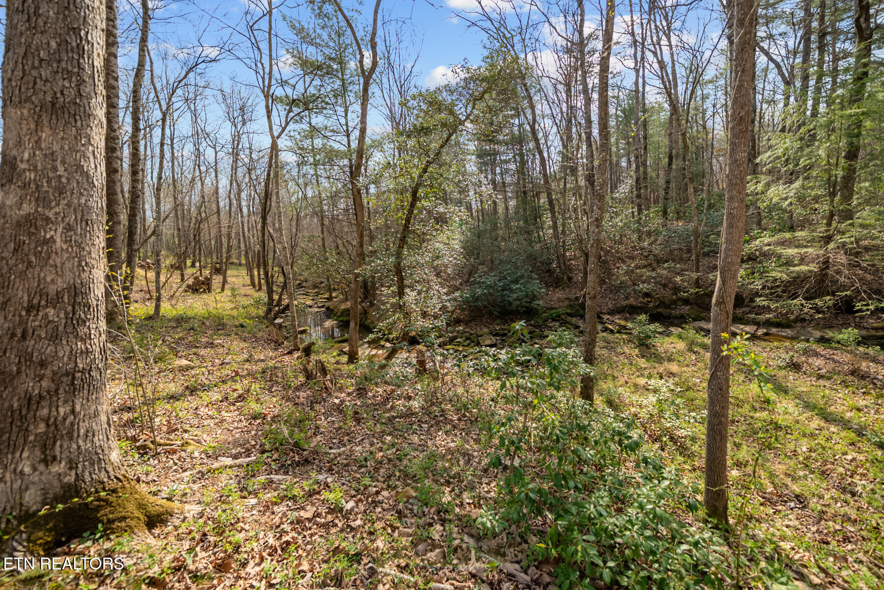 Marie Lane Crossville TN 38555