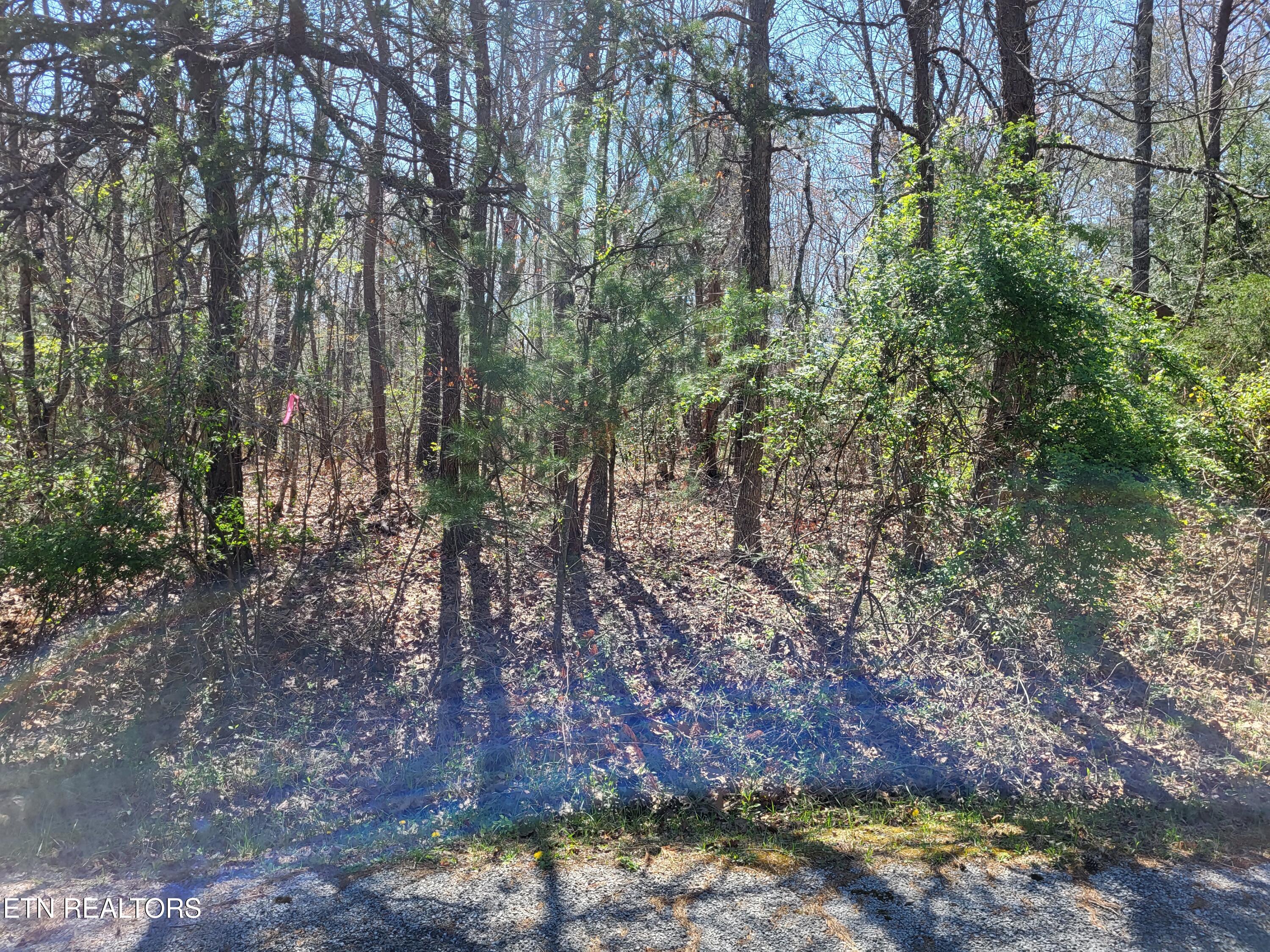 574 Marmaduke Drive Crossville TN 38558