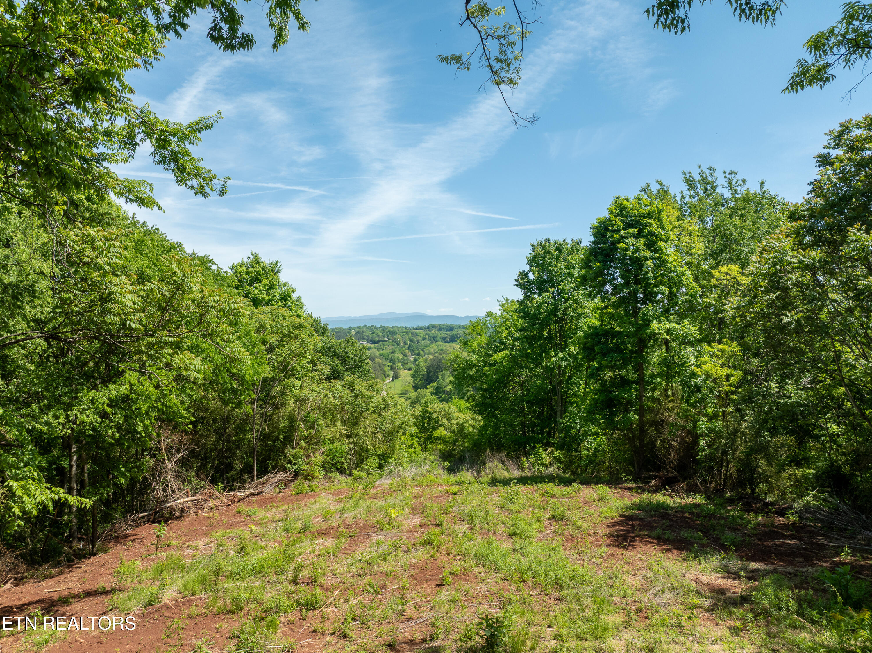 13389 Meadow Road Lenoir City TN 37772