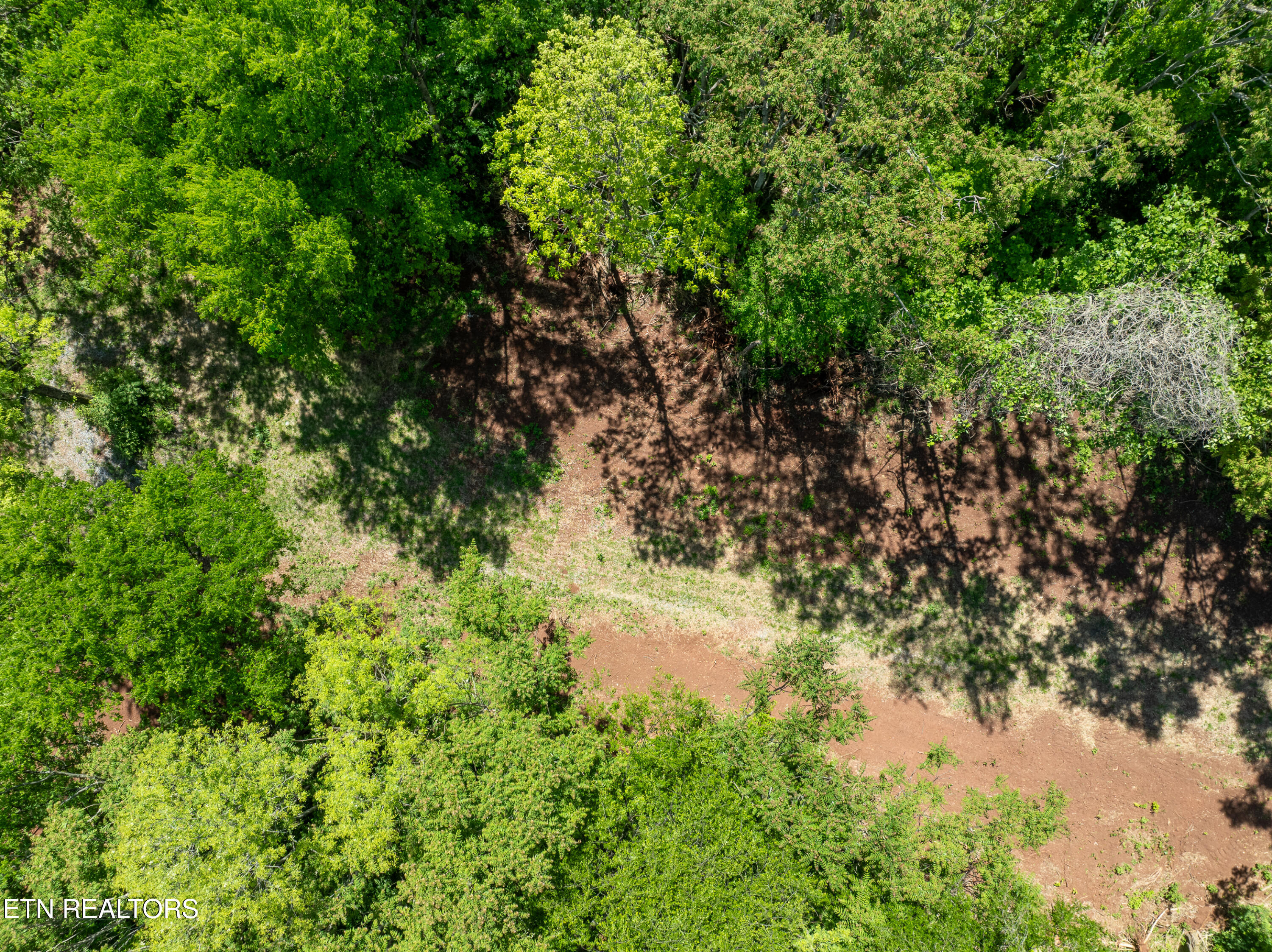 13389 Meadow Road Lenoir City TN 37772