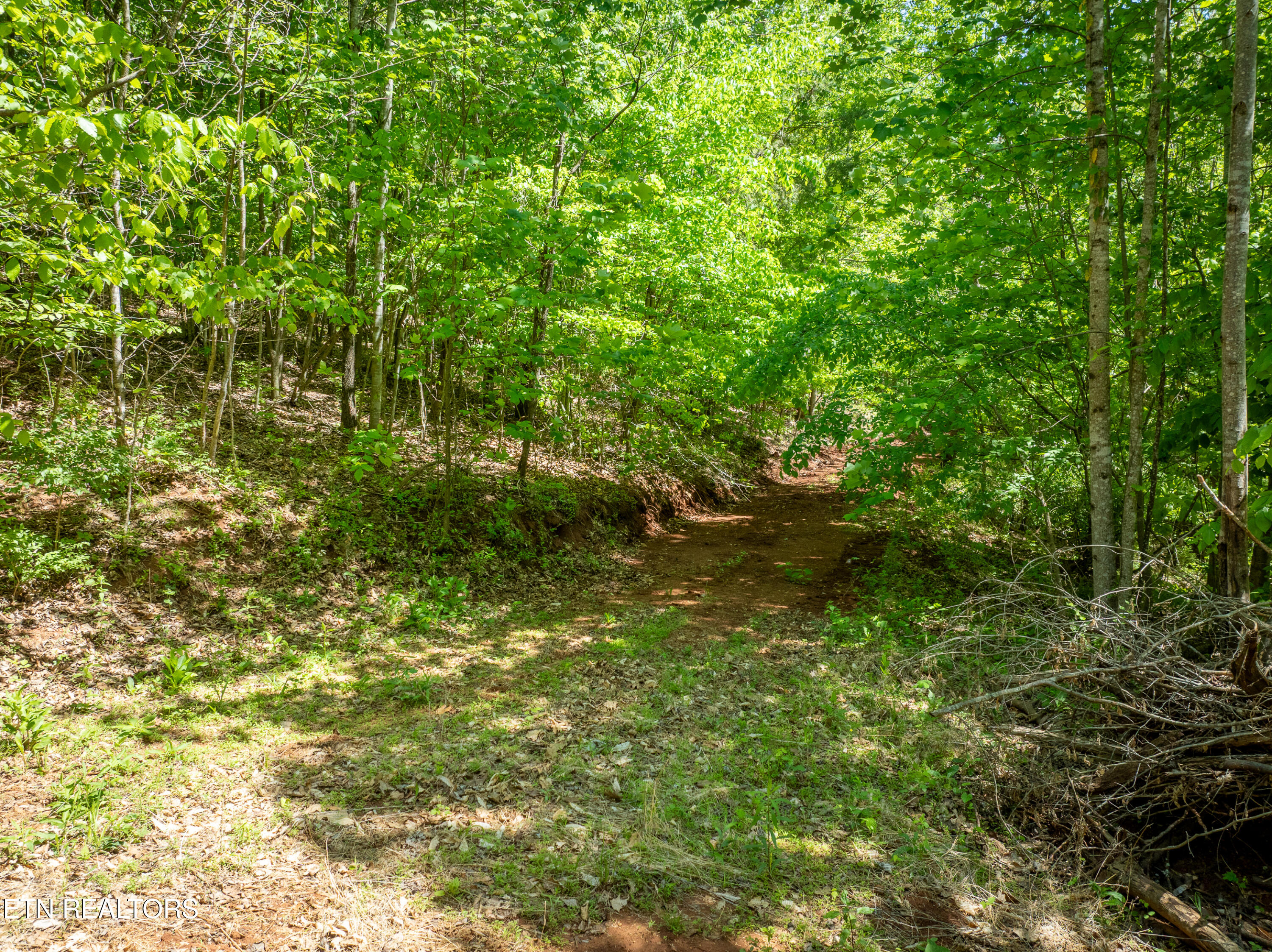 13389 Meadow Road Lenoir City TN 37772