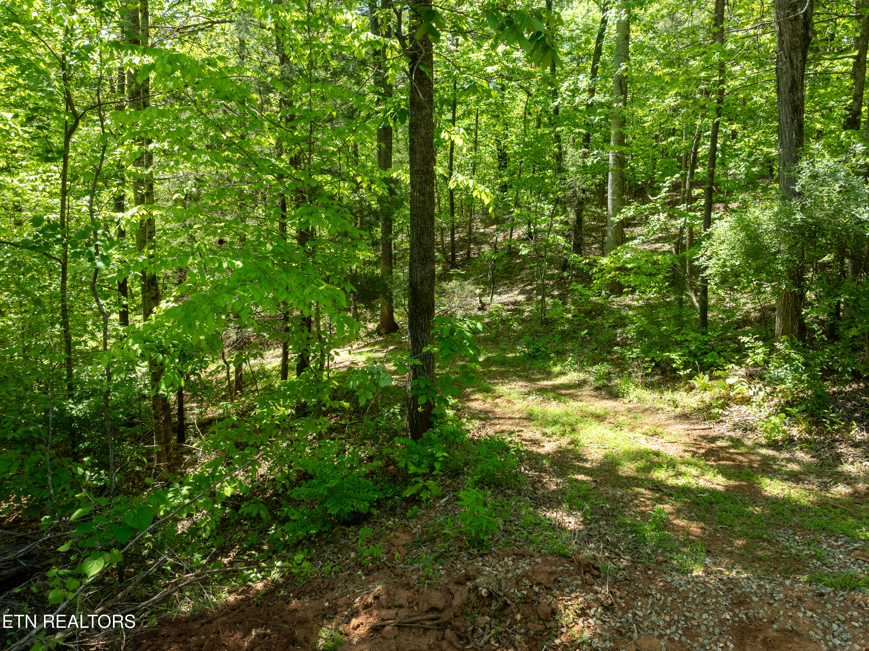 13389 Meadow Road Lenoir City TN 37772