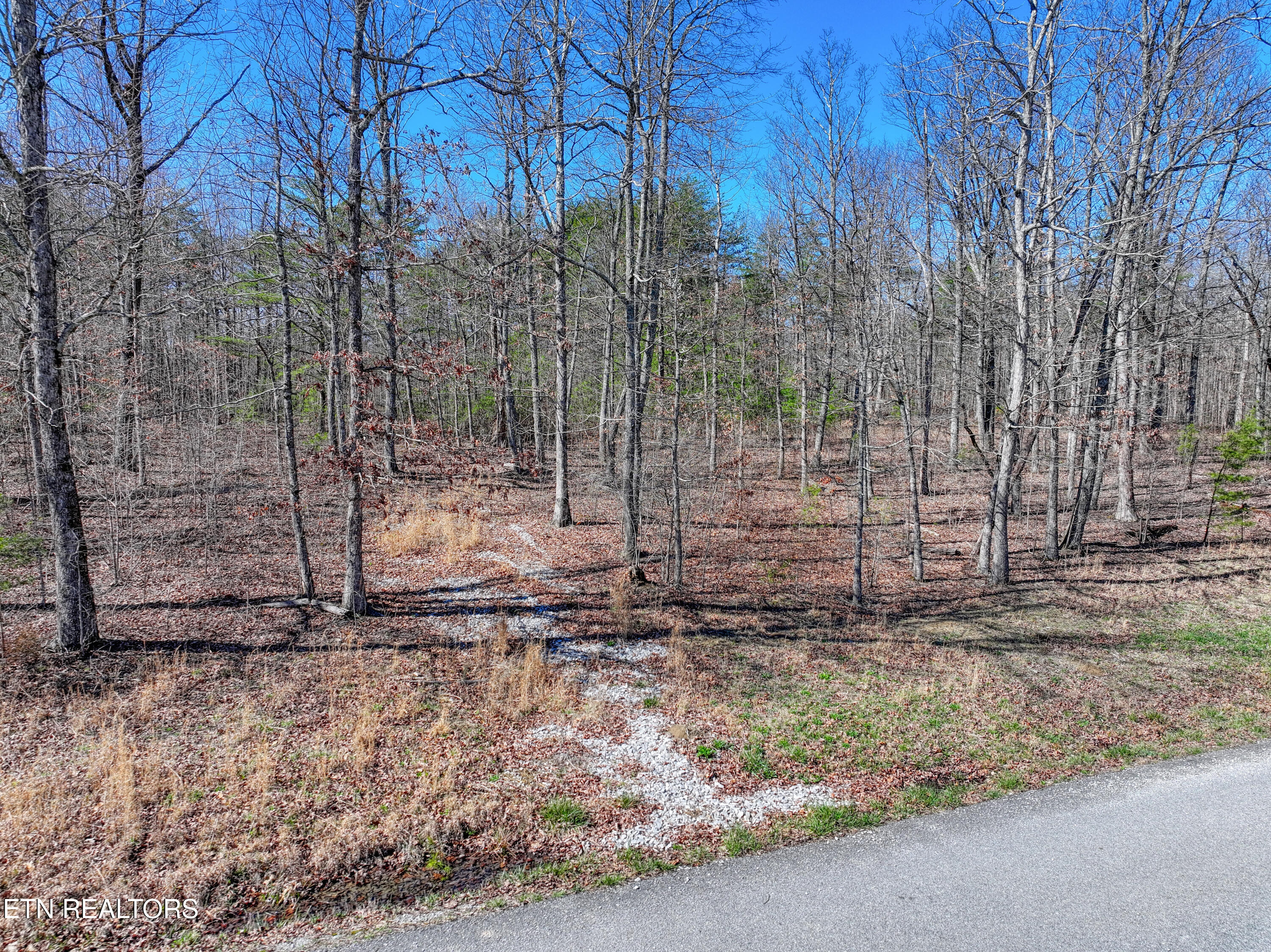 0 Gray Rock View Pikeville TN 37367