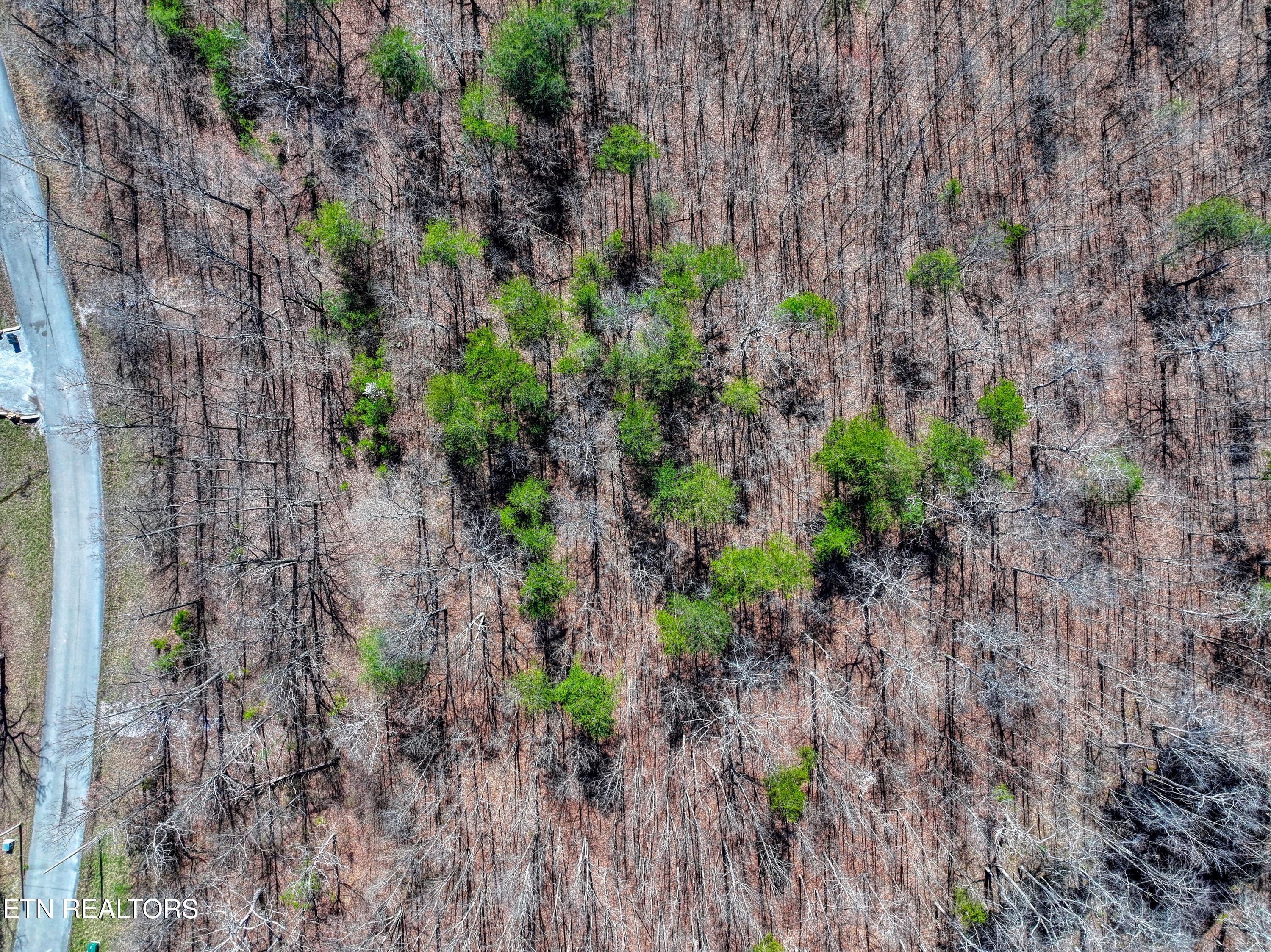 0 Gray Rock View Pikeville TN 37367