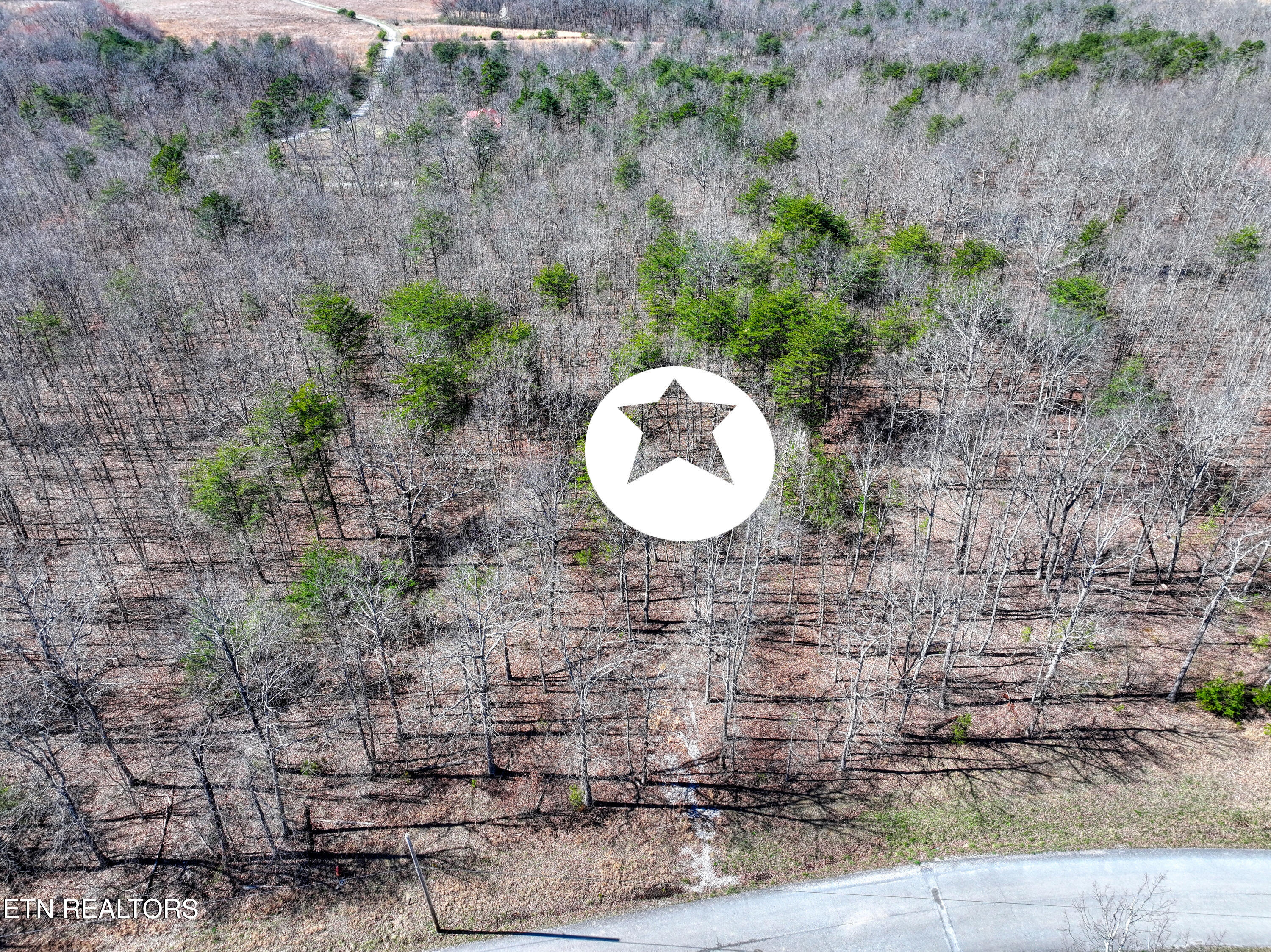 0 Gray Rock View Pikeville TN 37367
