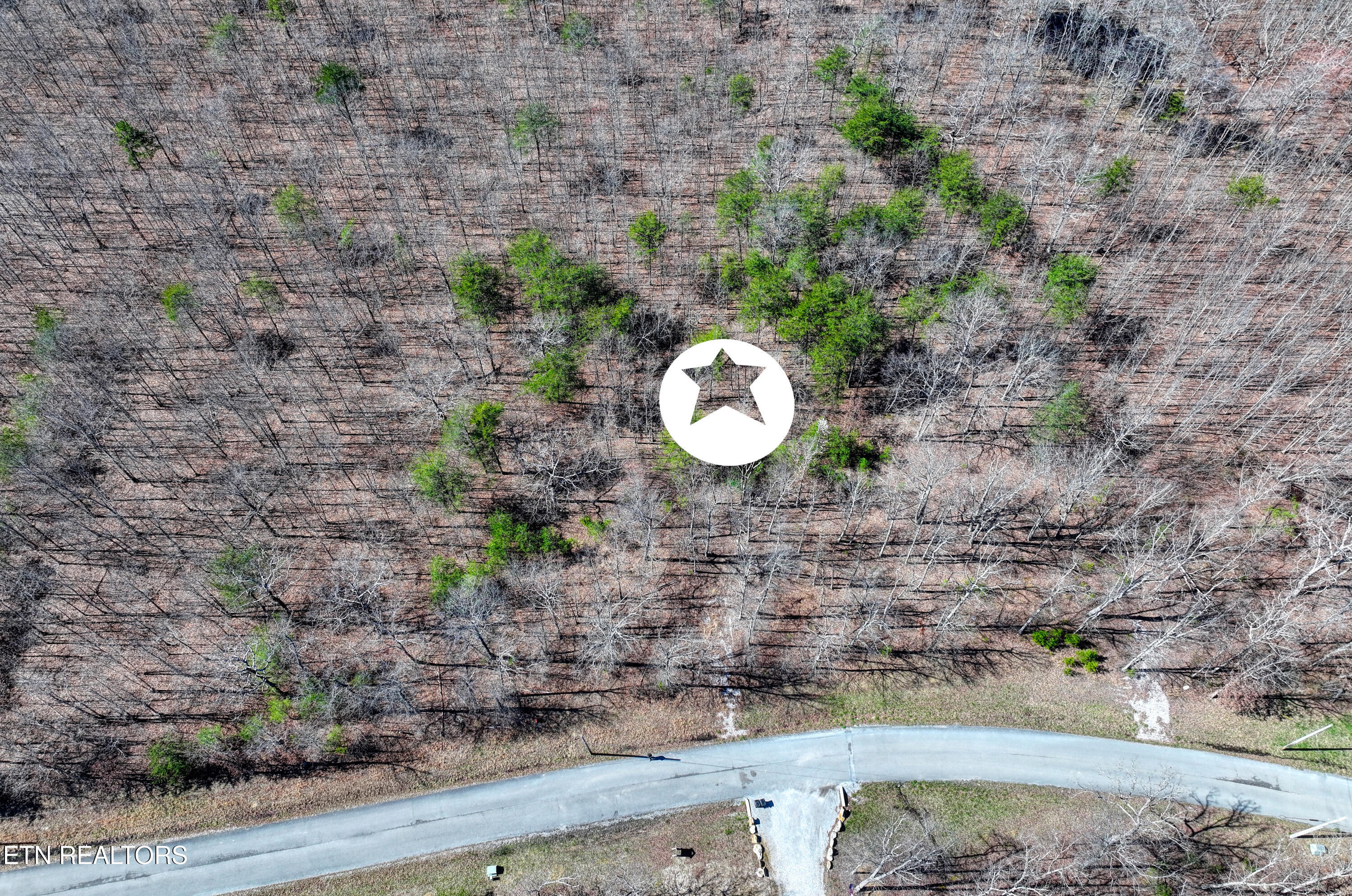 0 Gray Rock View Pikeville TN 37367