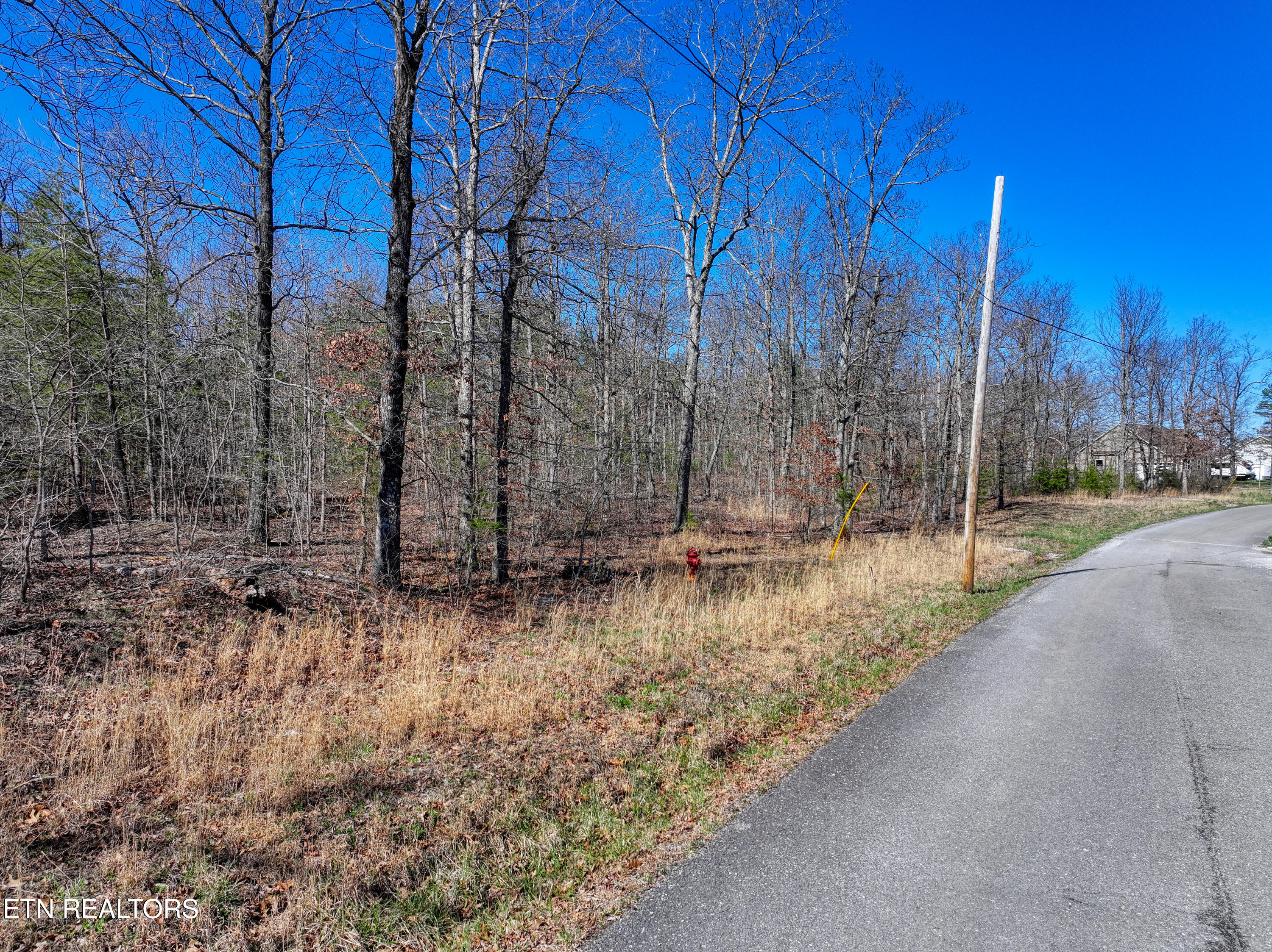 0 Gray Rock View Pikeville TN 37367