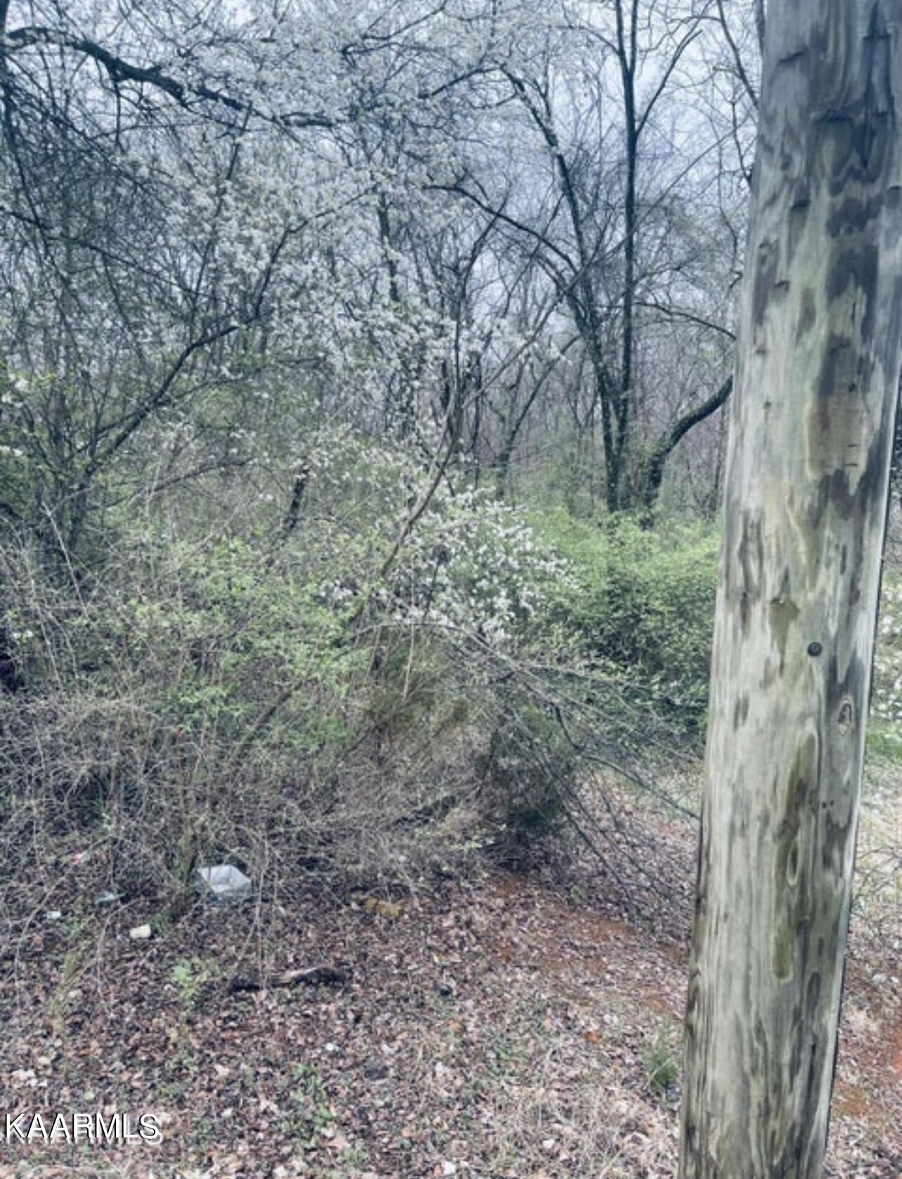 Andes Road Knoxville TN 37914