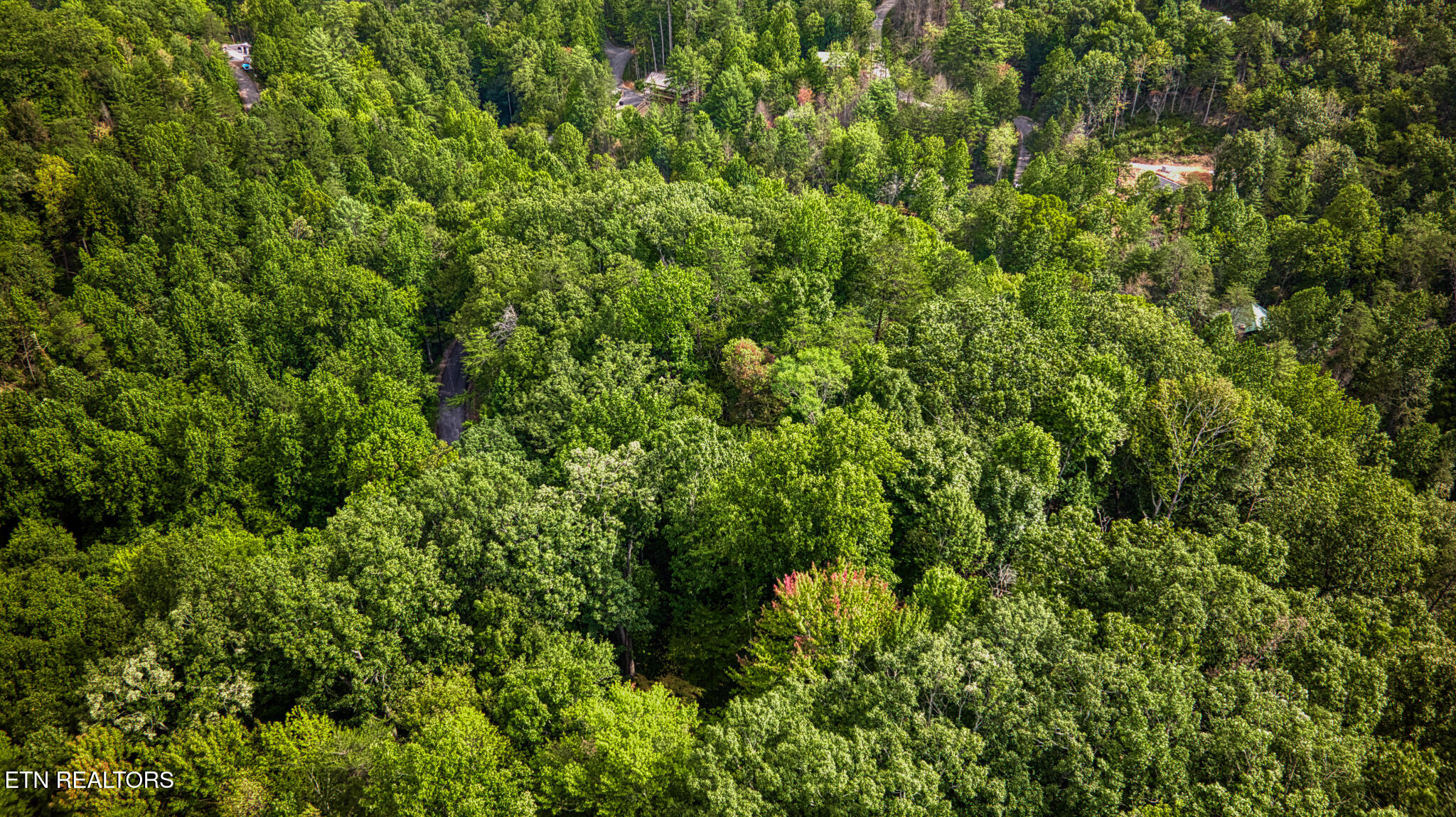 Lot 11 Stepping Stone Drive Sevierville TN 37862