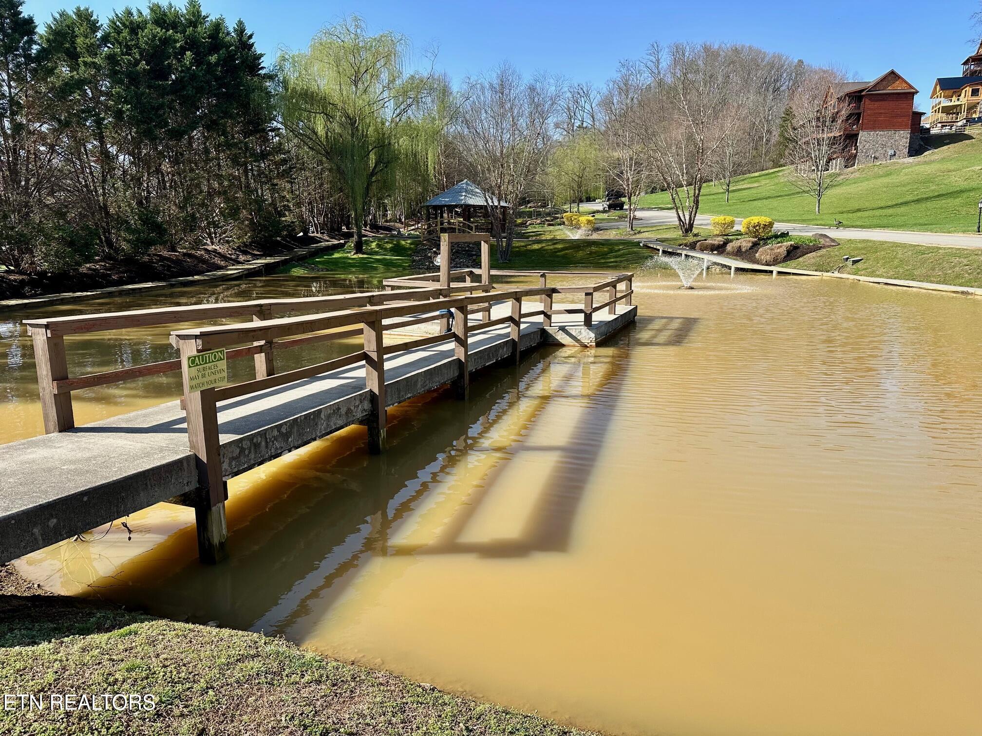 1919 Lizi Loop Way Sevierville TN 37862