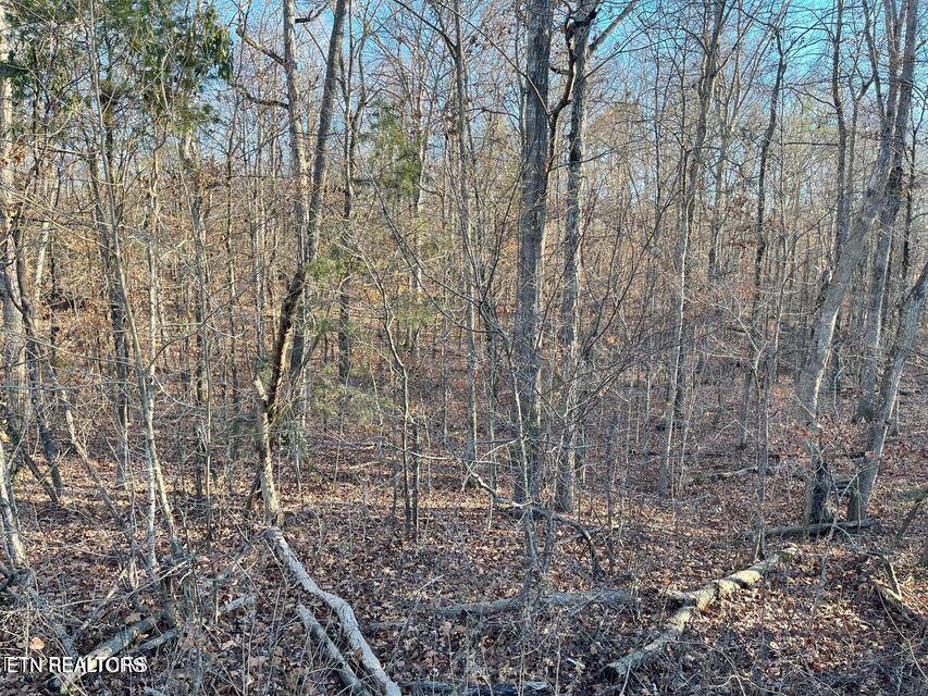 0 Governor John Sevier Highway Knoxville TN 37920