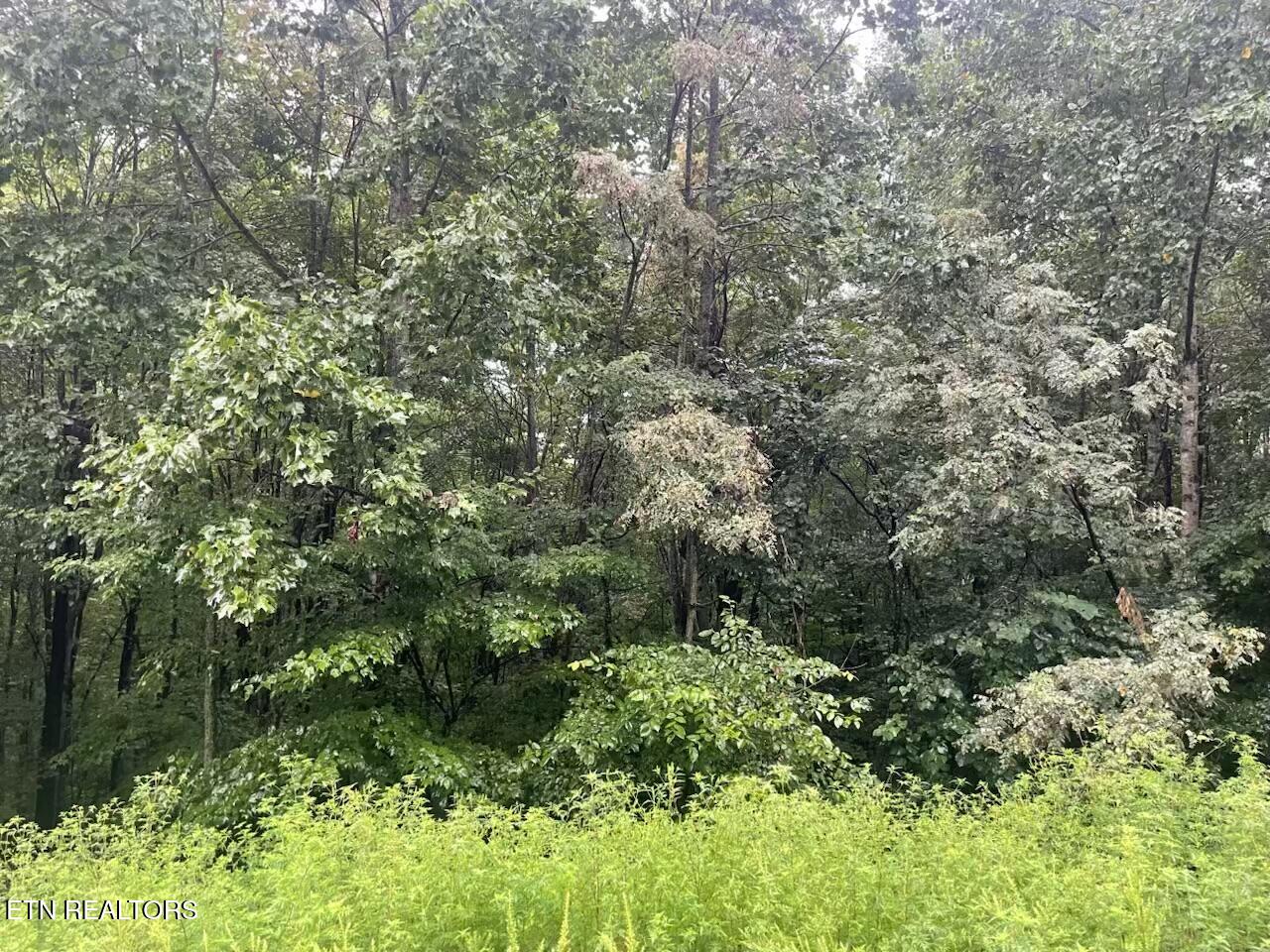 Whistle Valley Road New Tazewell TN 37825