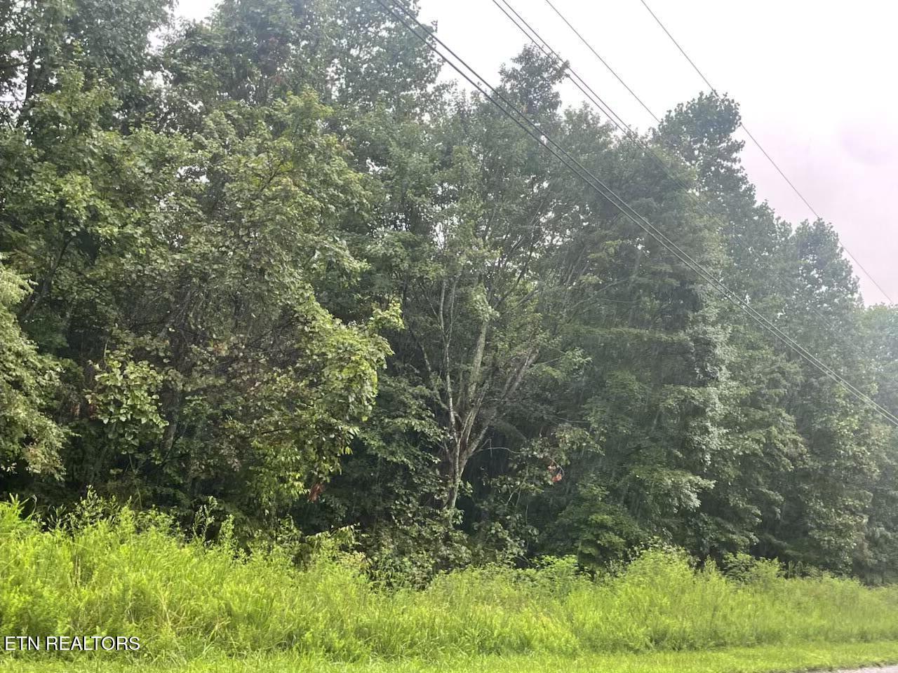 Whistle Valley Road New Tazewell TN 37825
