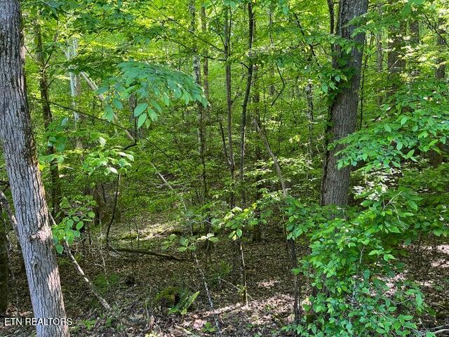 373-375 Beta Drive Spring City TN 37381