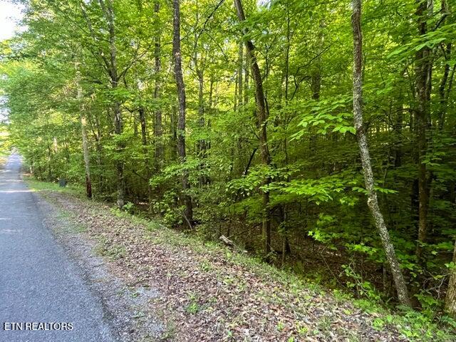 373-375 Beta Drive Spring City TN 37381