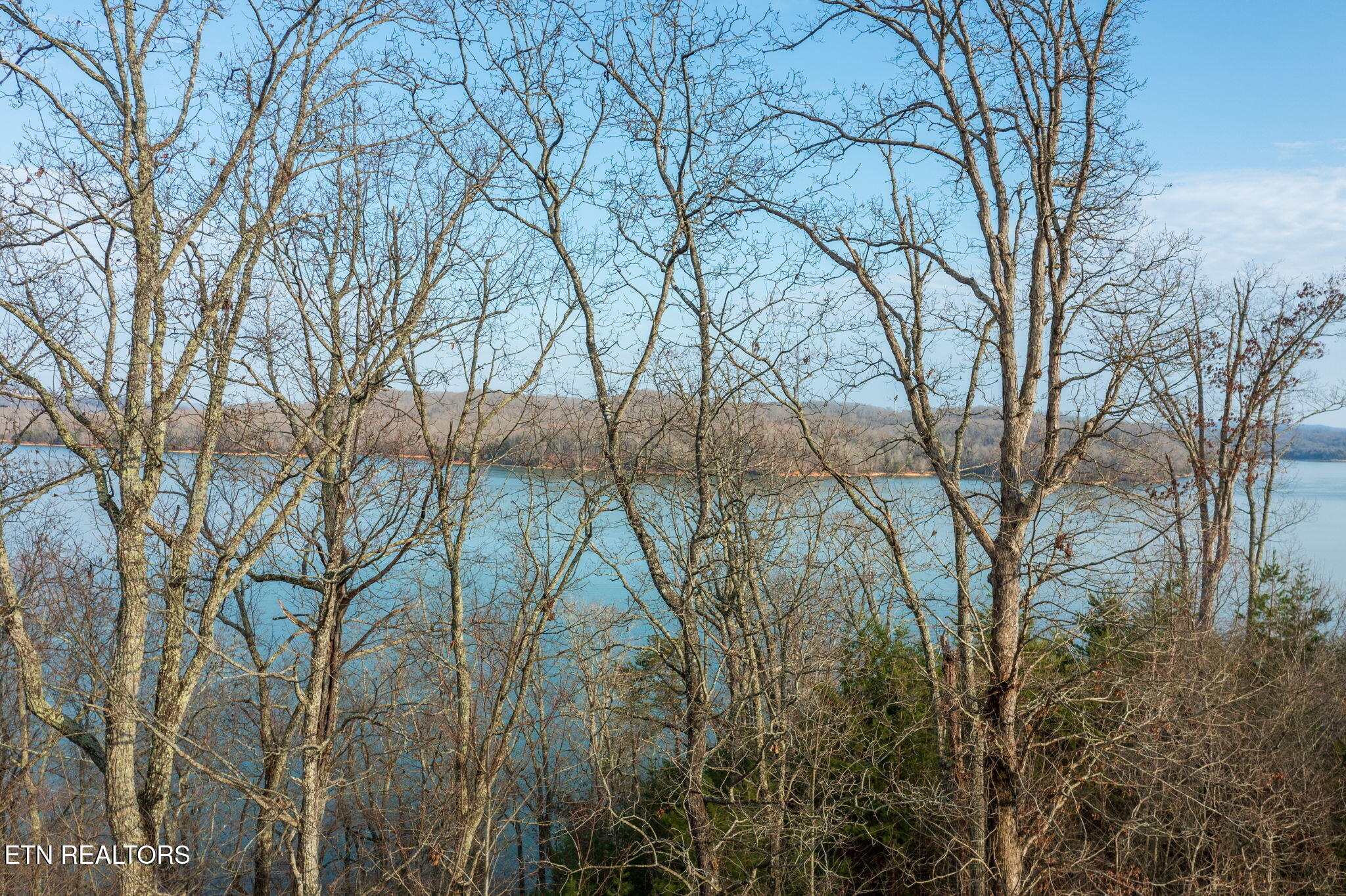 Lot 146 Thief Neck Drive Rockwood TN 37854