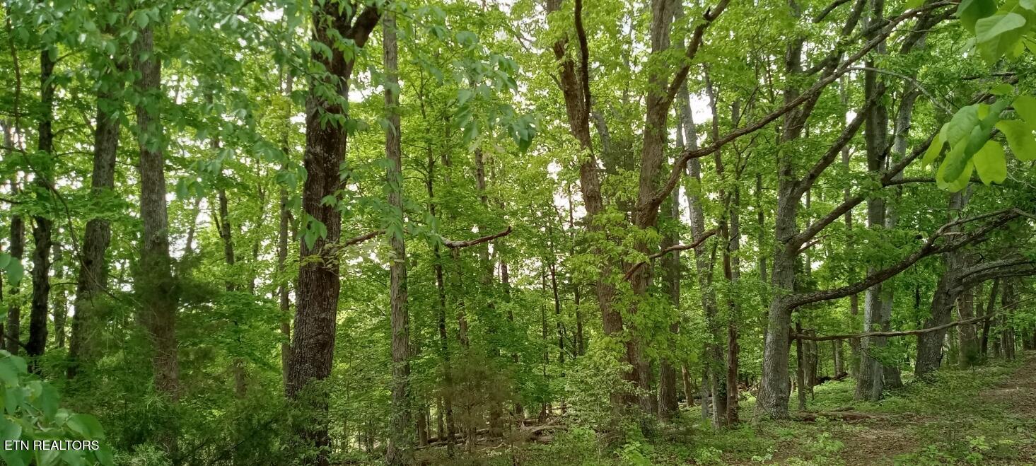 3342 River Road Decatur TN 37322