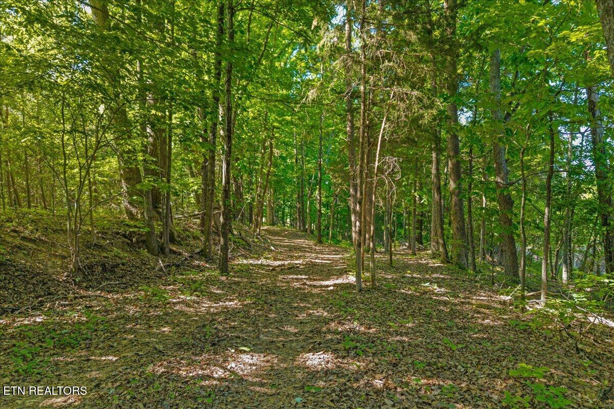 3342 River Road Decatur TN 37322