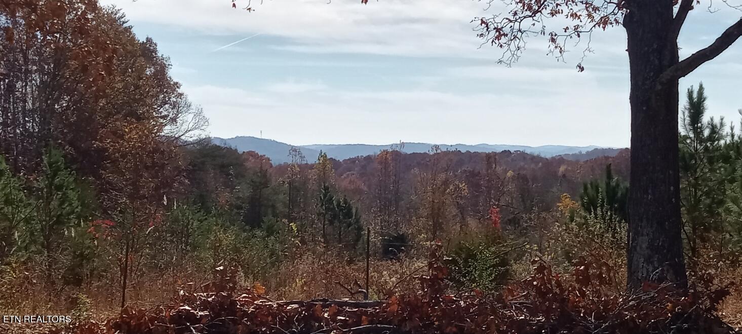 3342 River Road Decatur TN 37322