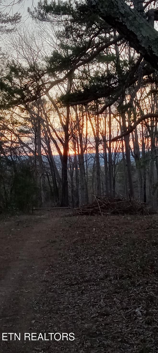3342 River Road Decatur TN 37322