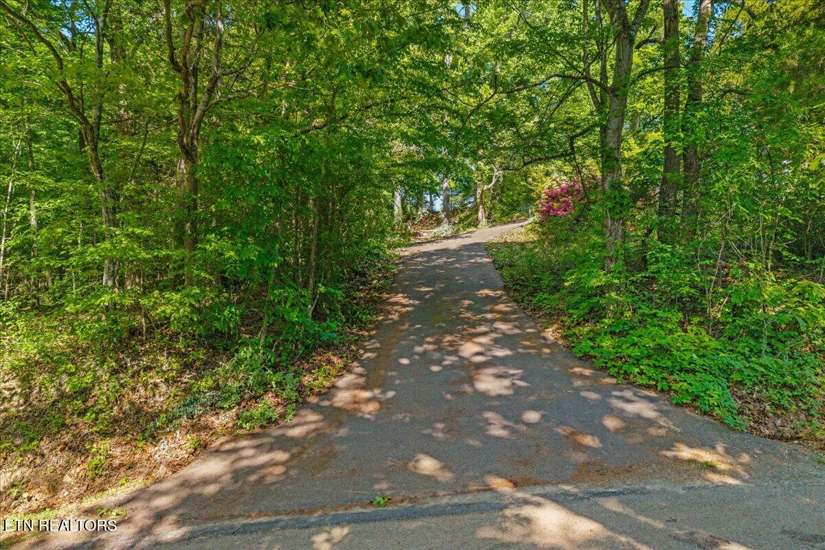 3342 River Road Decatur TN 37322