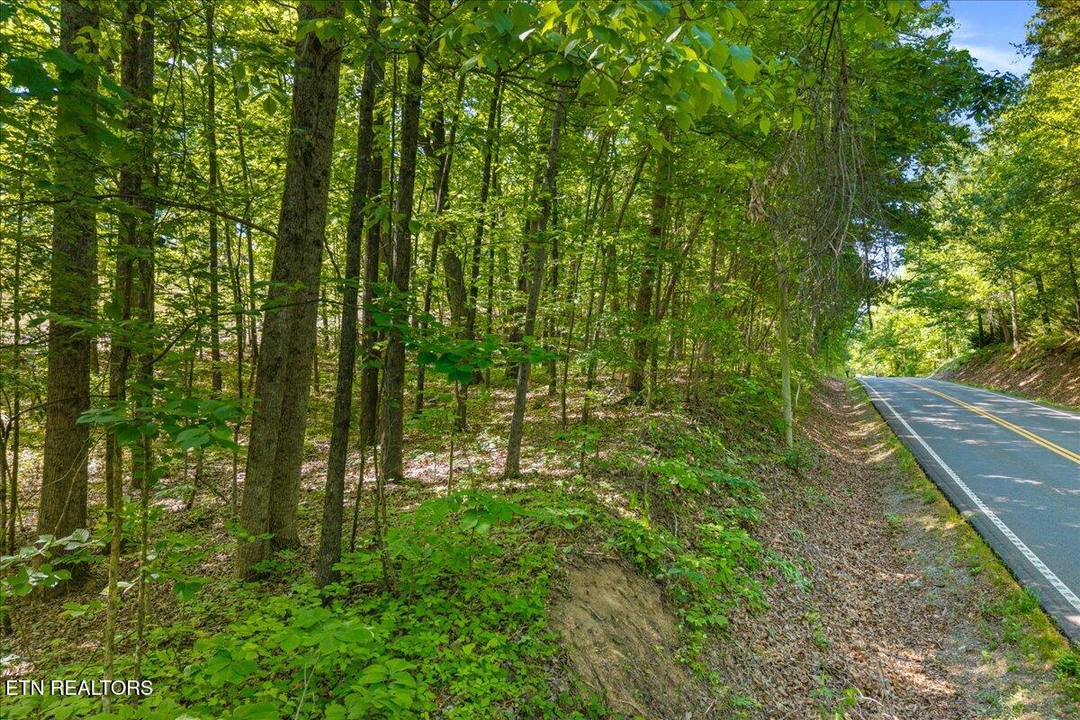 3342 River Road Decatur TN 37322