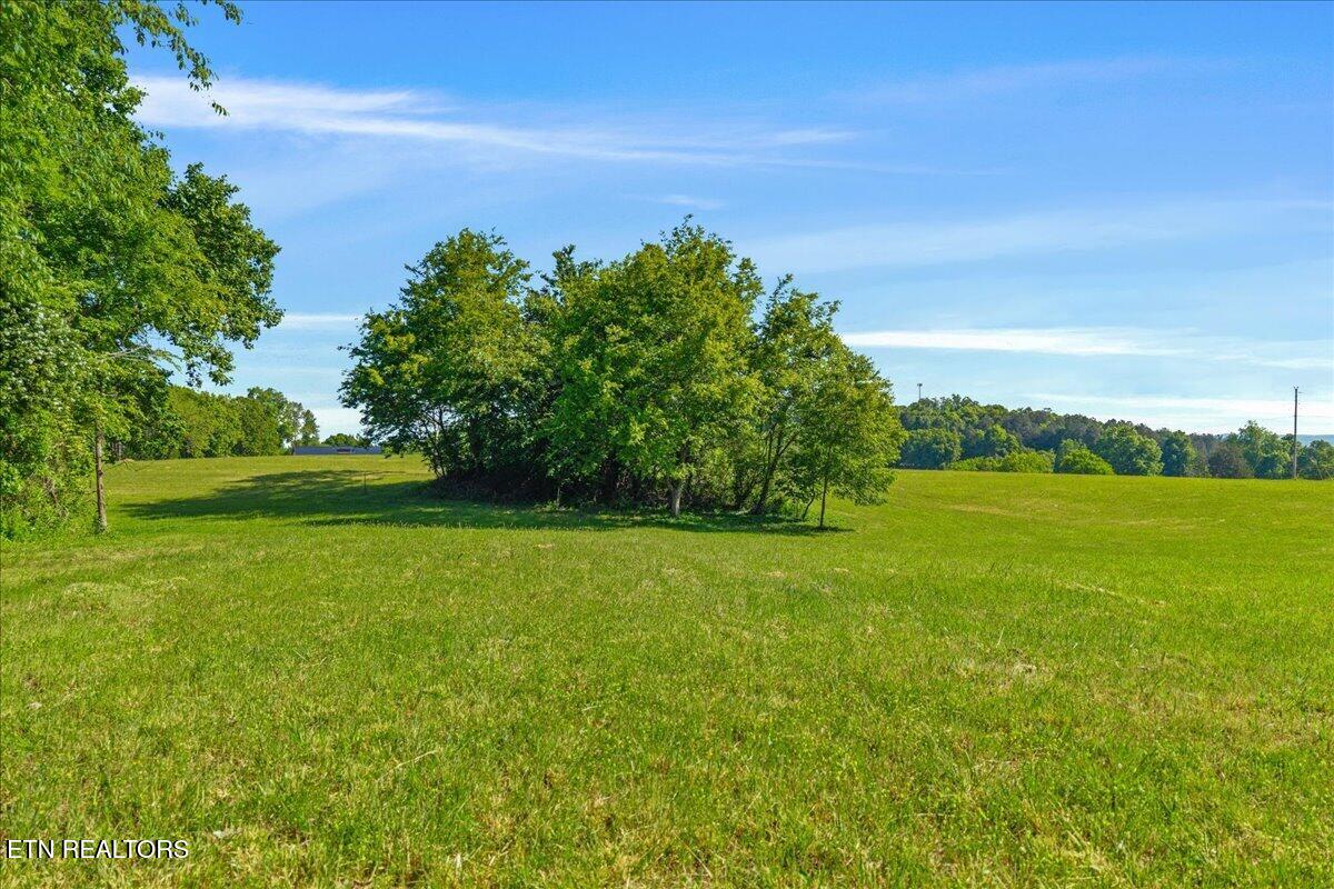 3342 River Road Decatur TN 37322