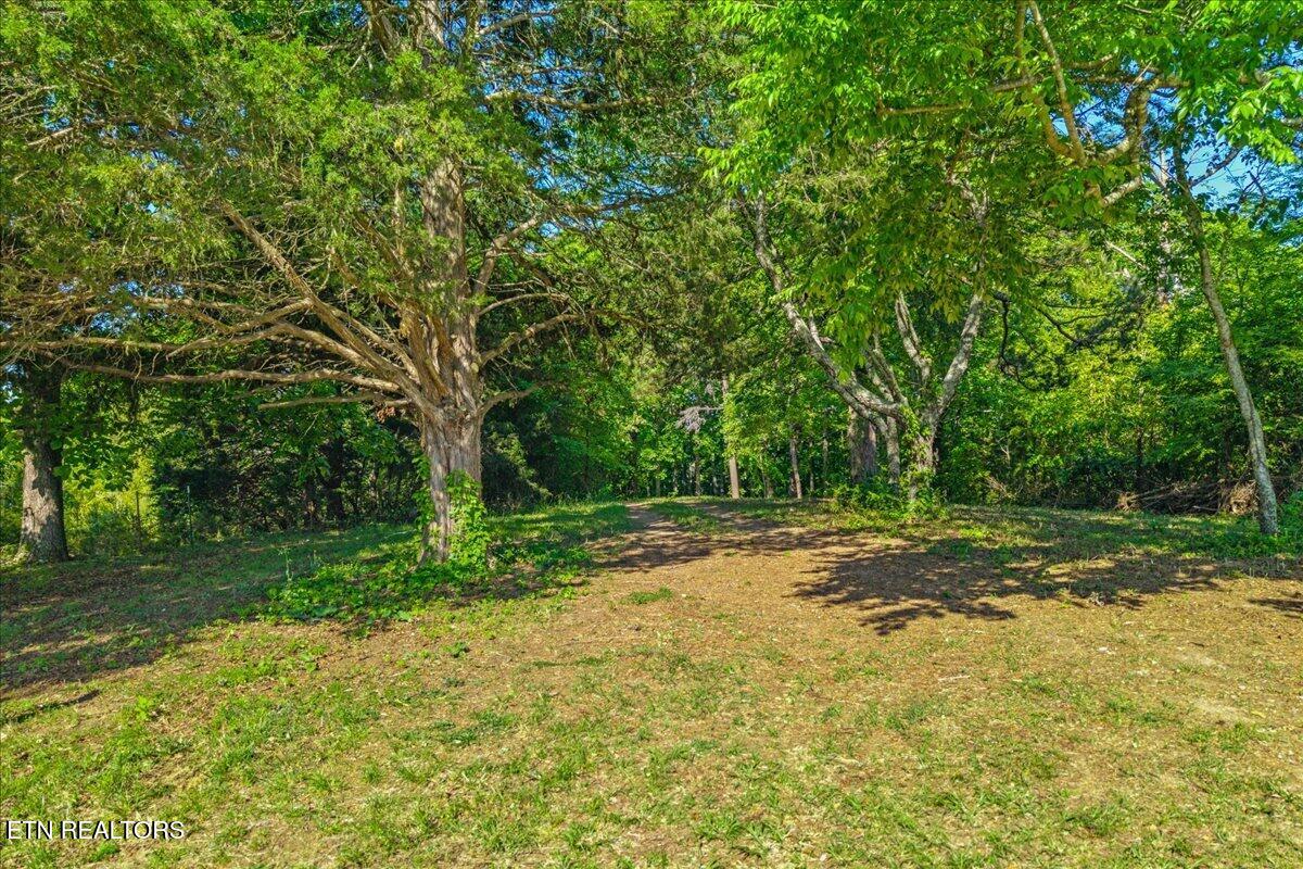3342 River Road Decatur TN 37322