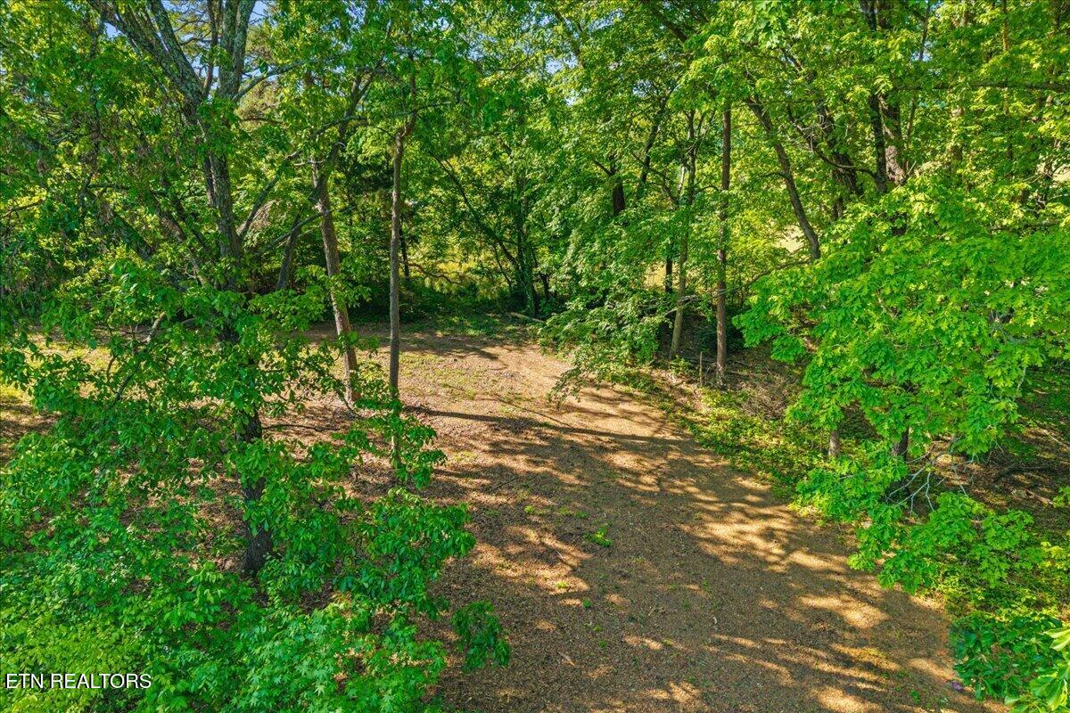 3342 River Road Decatur TN 37322