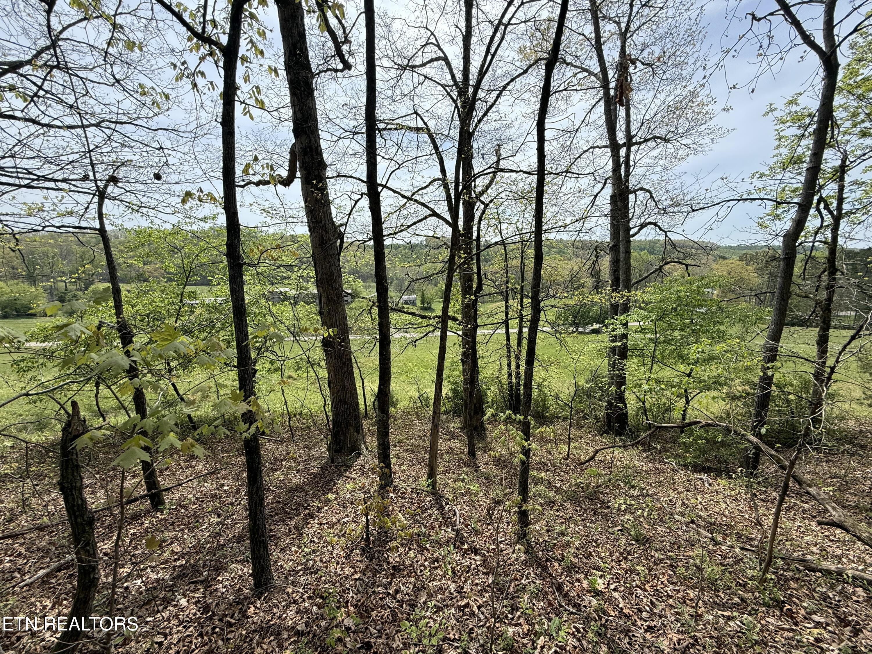 Lot 4 Yarnell Road Knoxville TN 37932