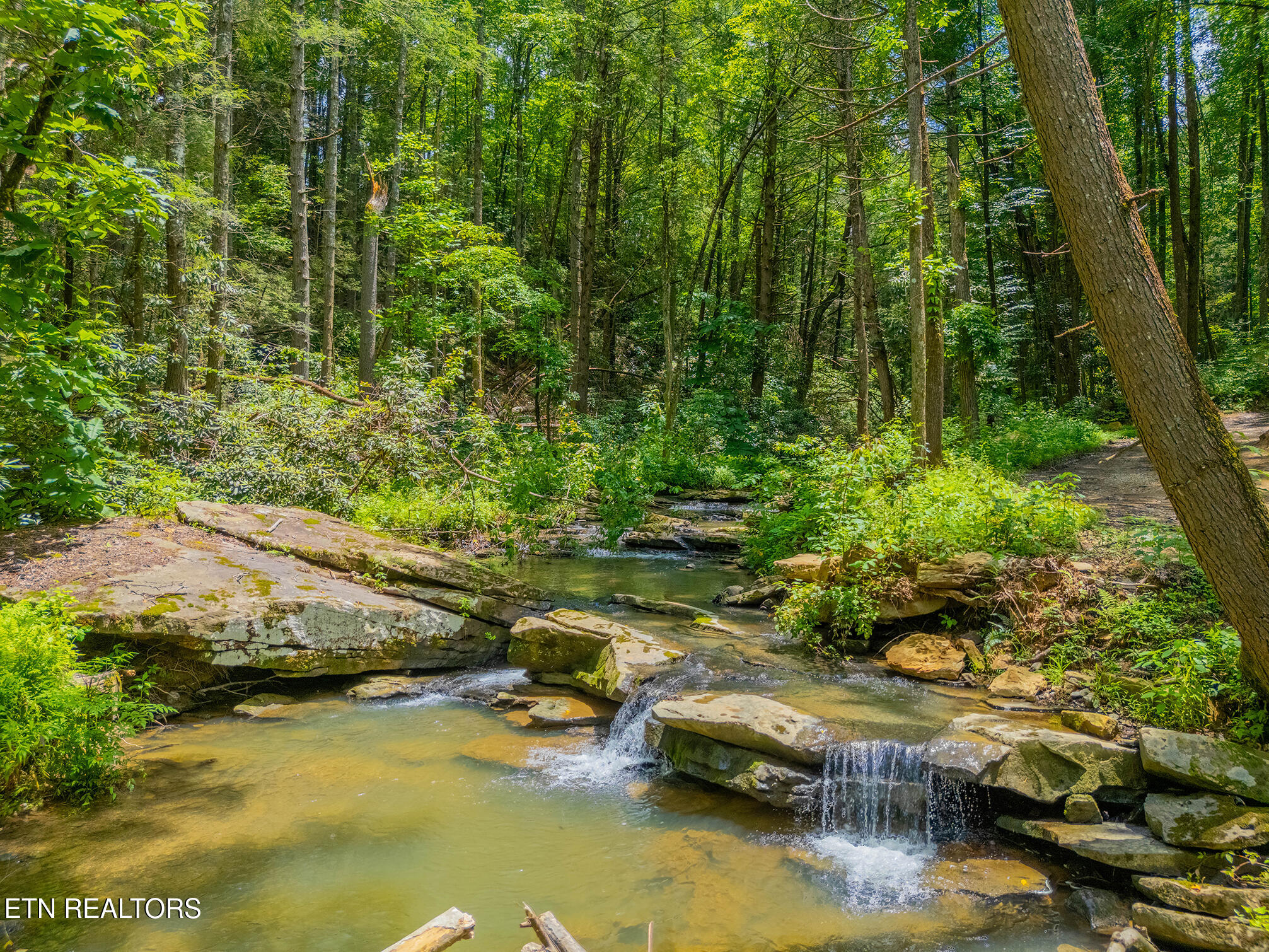 118 Authorn Sheldon Road Harriman TN 37748