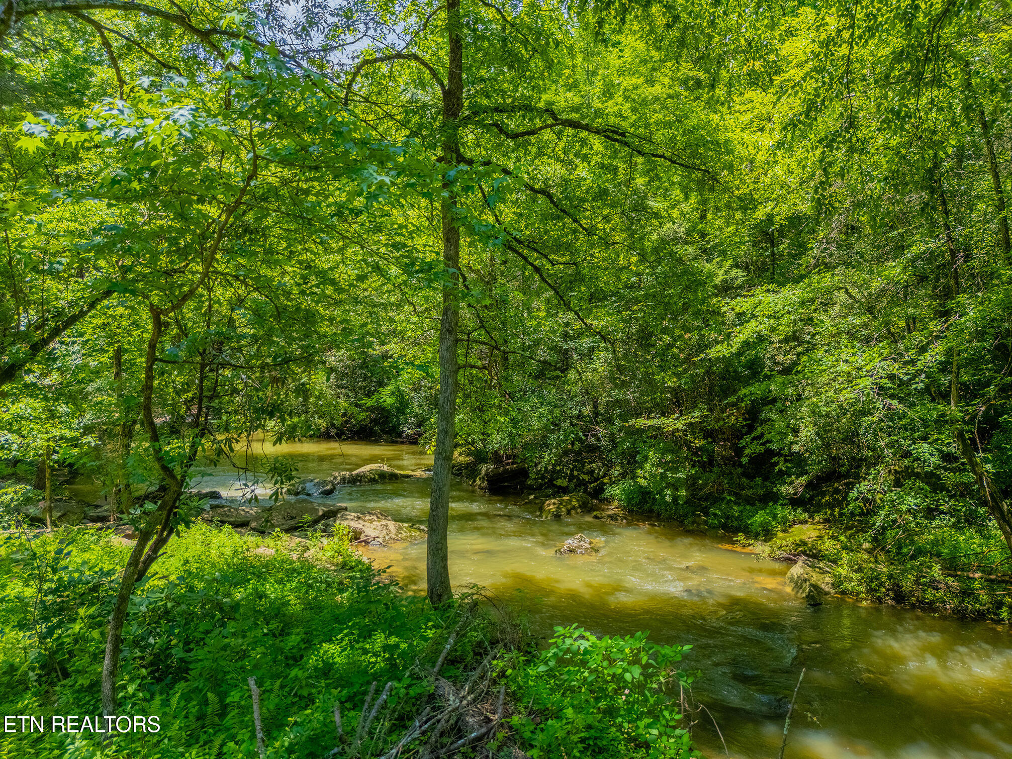 118 Authorn Sheldon Road Harriman TN 37748